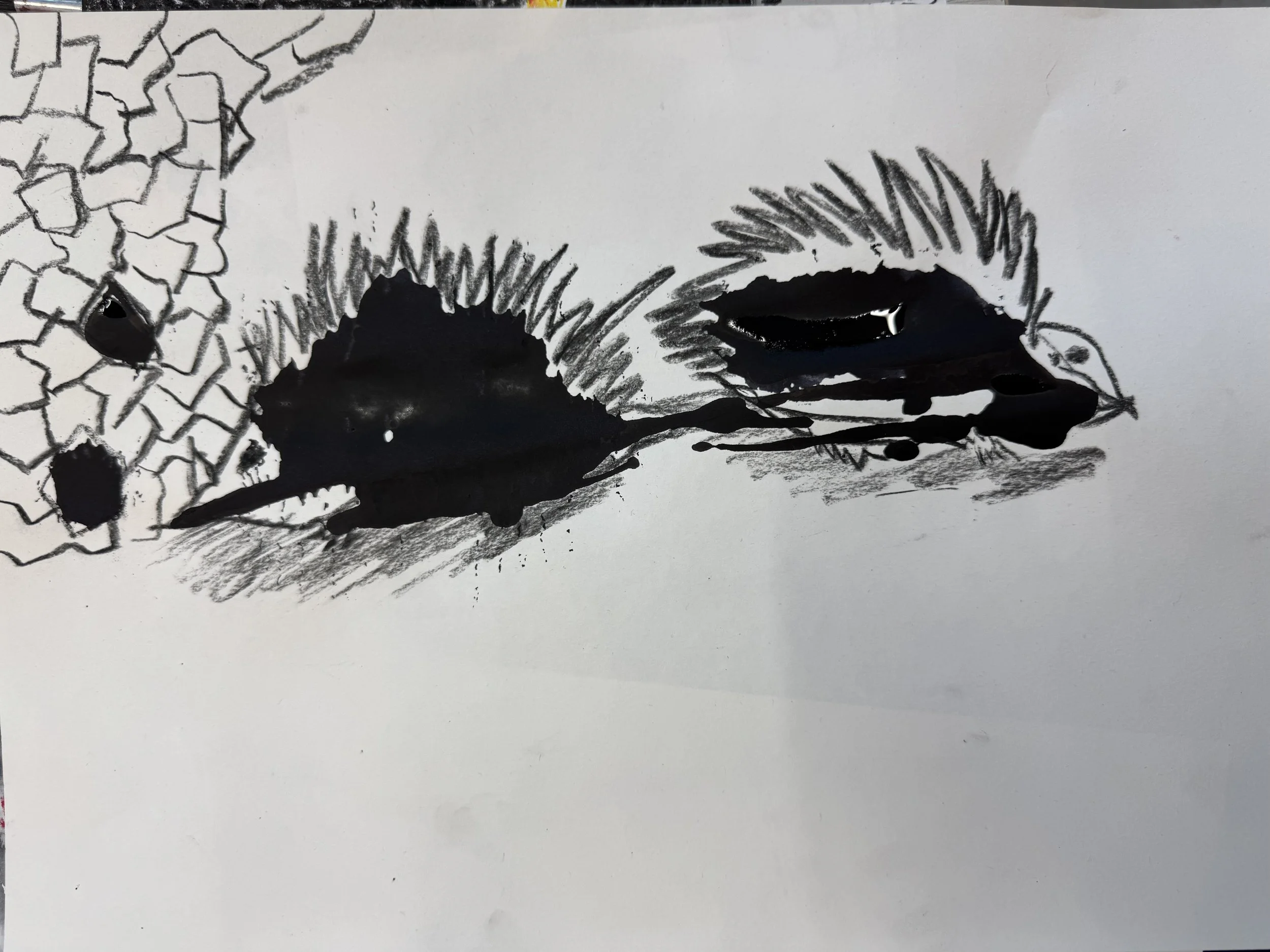 IMG_5131.jpeg