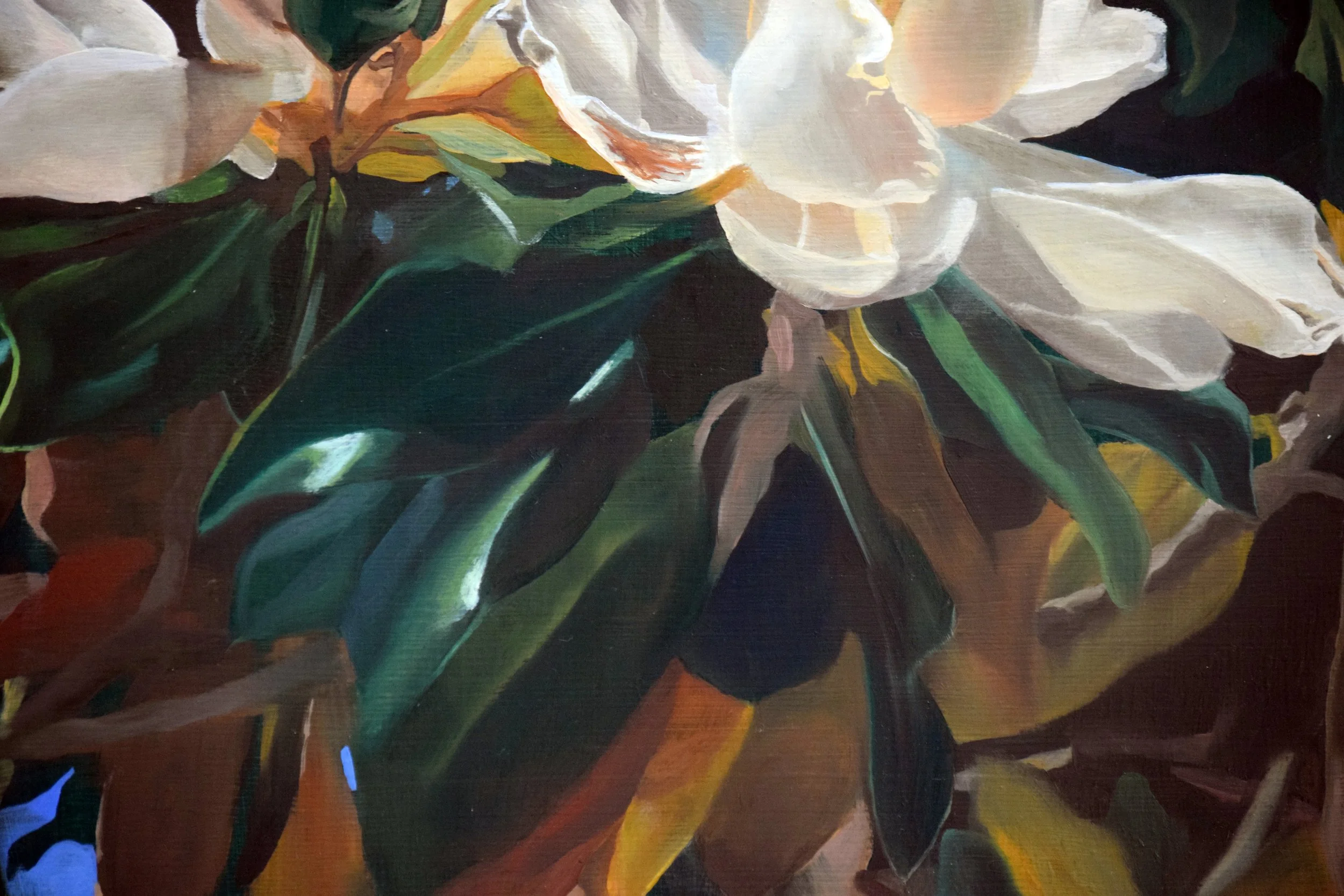 magnoliadetail.jpg