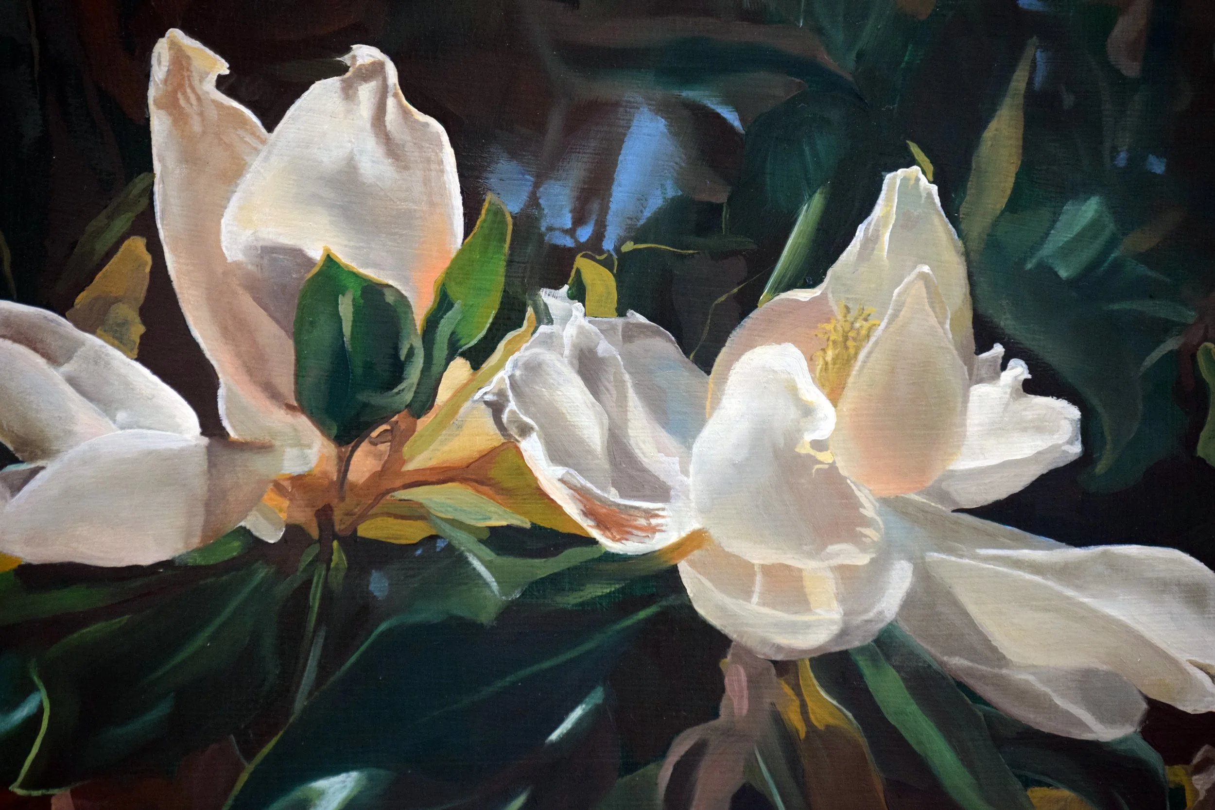 magnolia.jpg