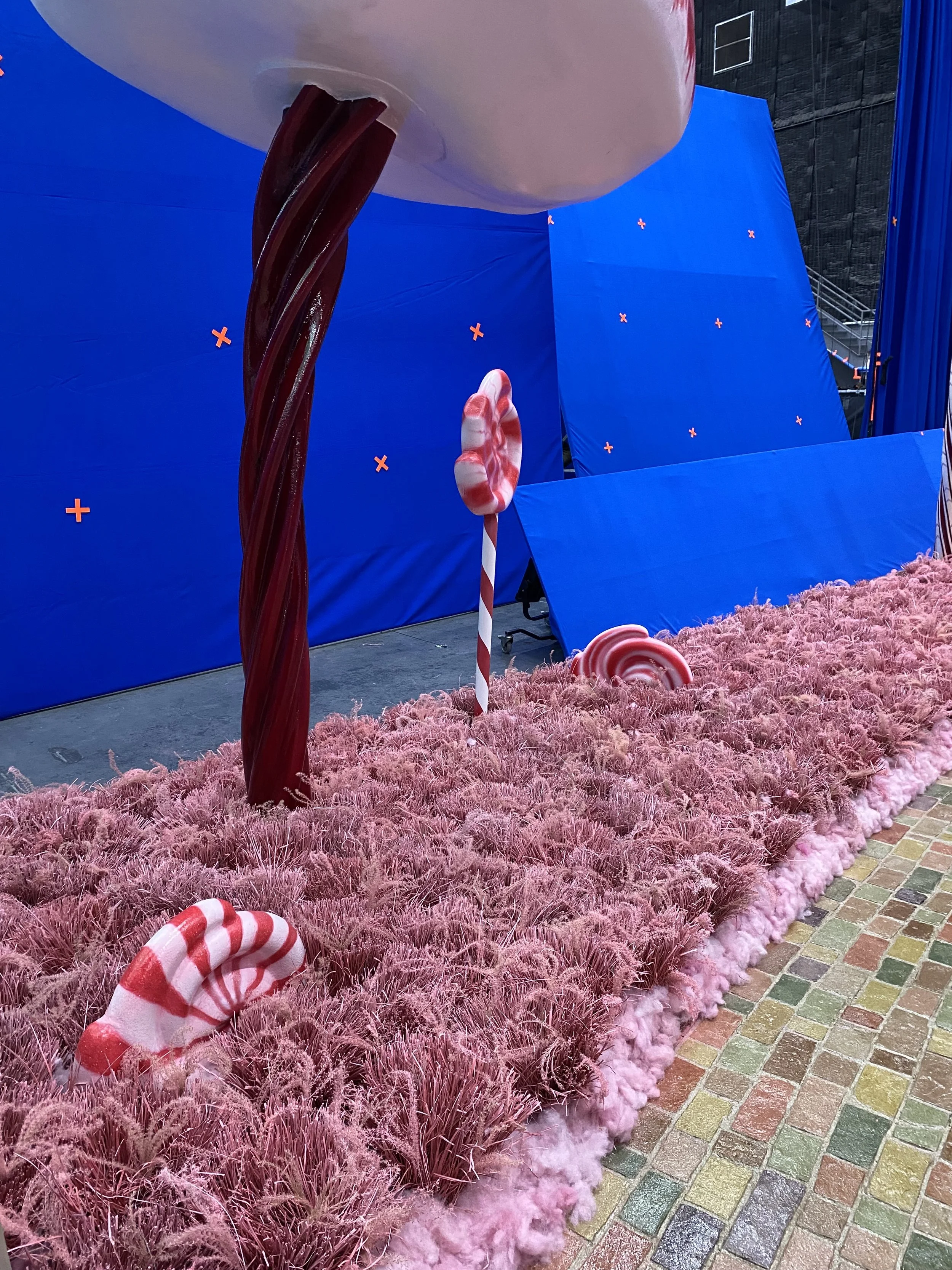 Set Photo