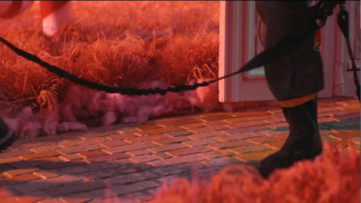 Episode Still