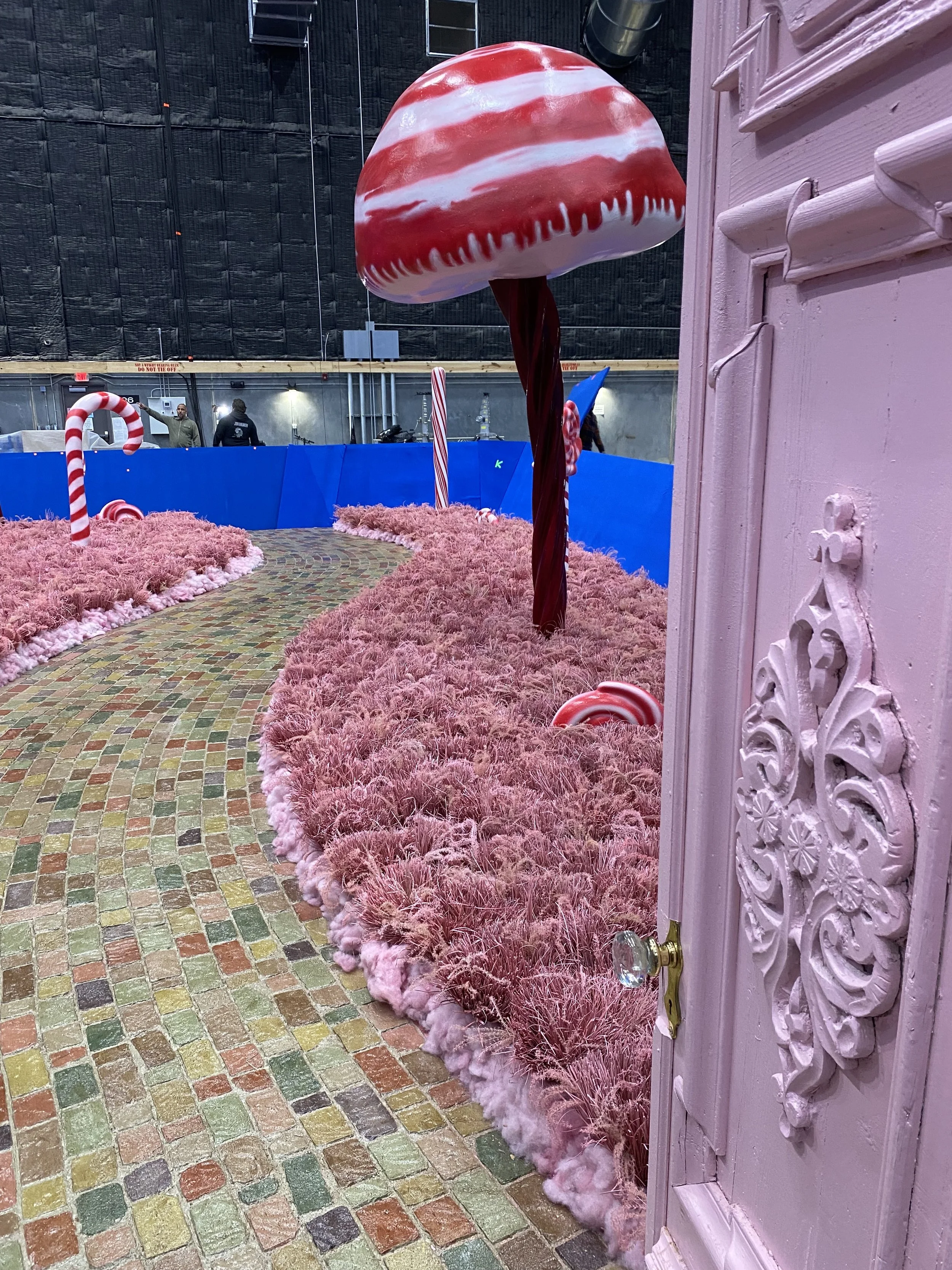 Set Photo
