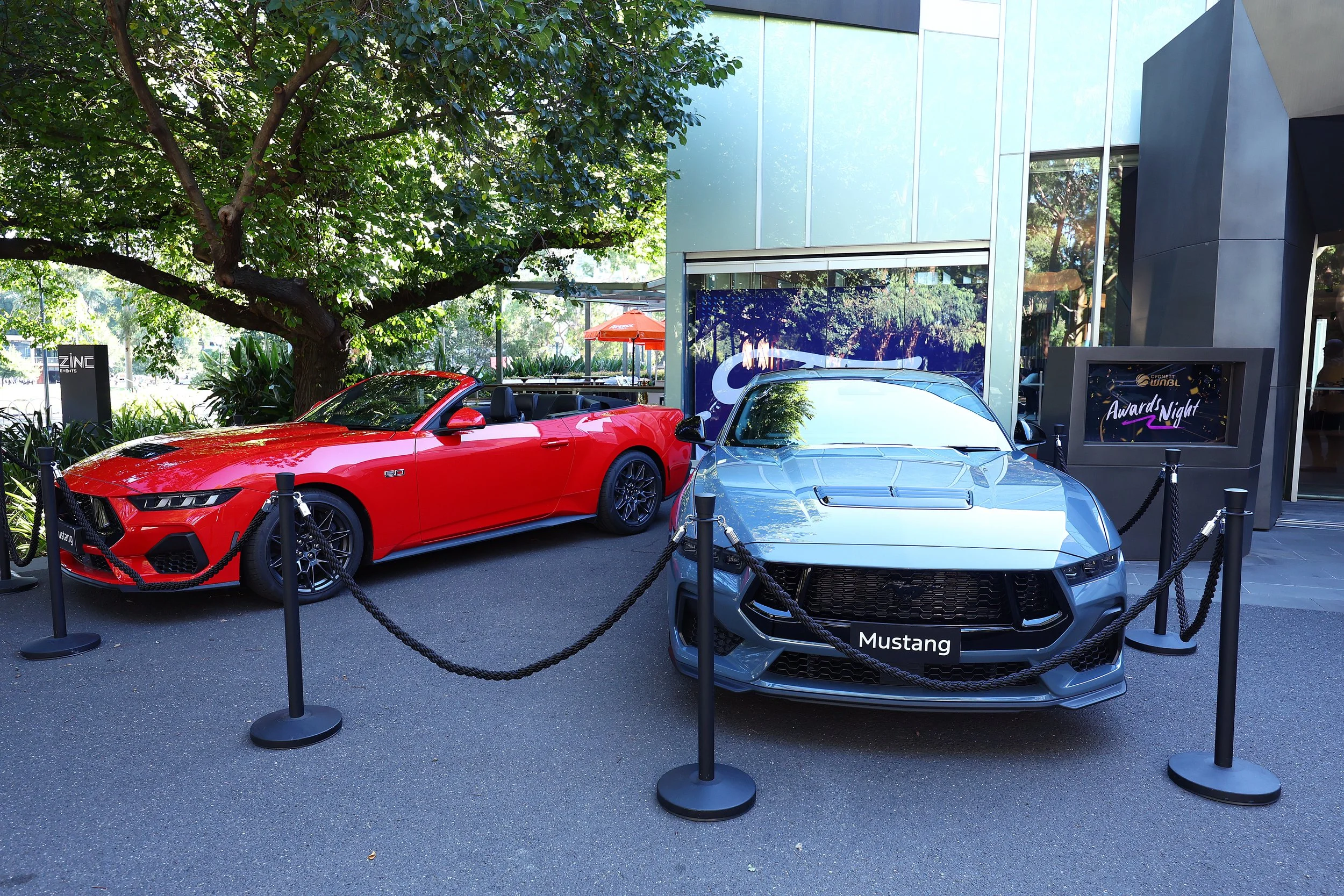 Photo of grey and red Ford Mustang cars on display outdoors