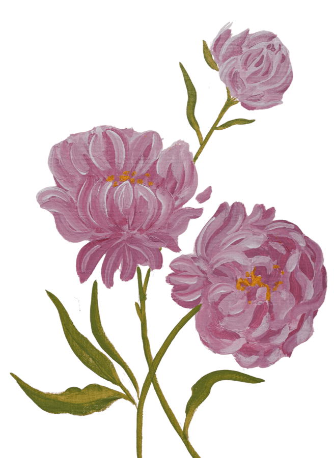 Acrylic painting of peonies by the artist Sharon Cleere