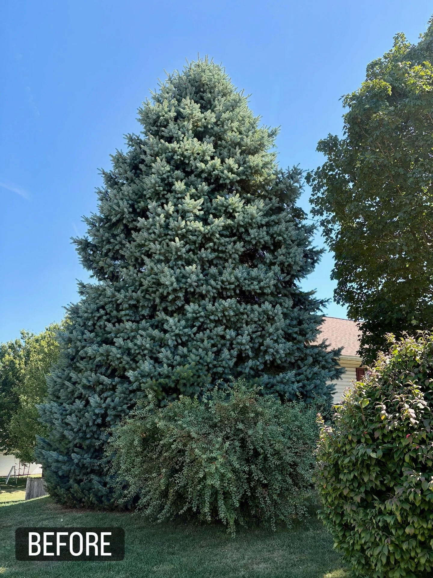 📸Before &amp; After 🏡 ➡️ 🏠
Call us today for your tree service needs! #stihl #treeservice #treeremoval #lebanoncounty