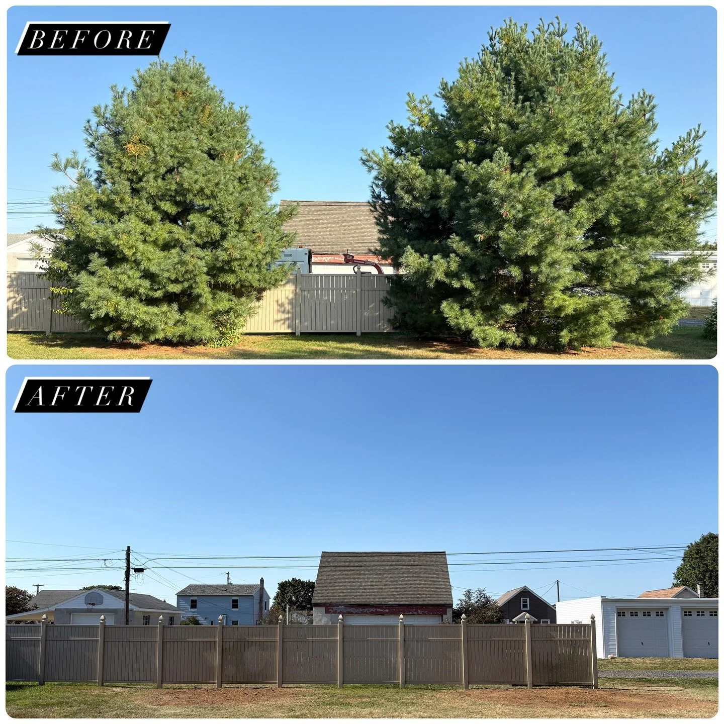 BEFORE AND AFTER 📸 Call us today for your tree service needs! #treeservice #treeremoval #lebanoncounty