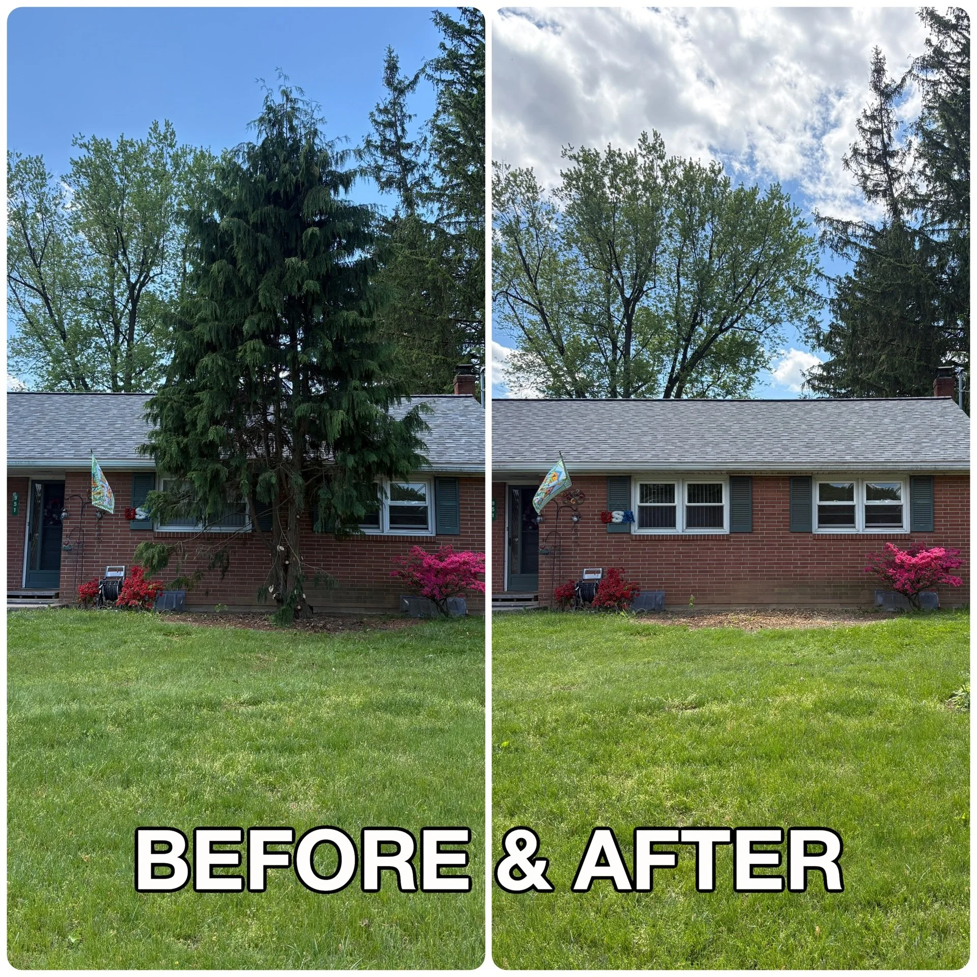 🏠Front yard tree removal and stump grinding as part of a larger project for our wonderful customers! Thank you for trusting us! ⭐️🌳♻️🪵 #treeremoval #lebanoncounty #sustainability