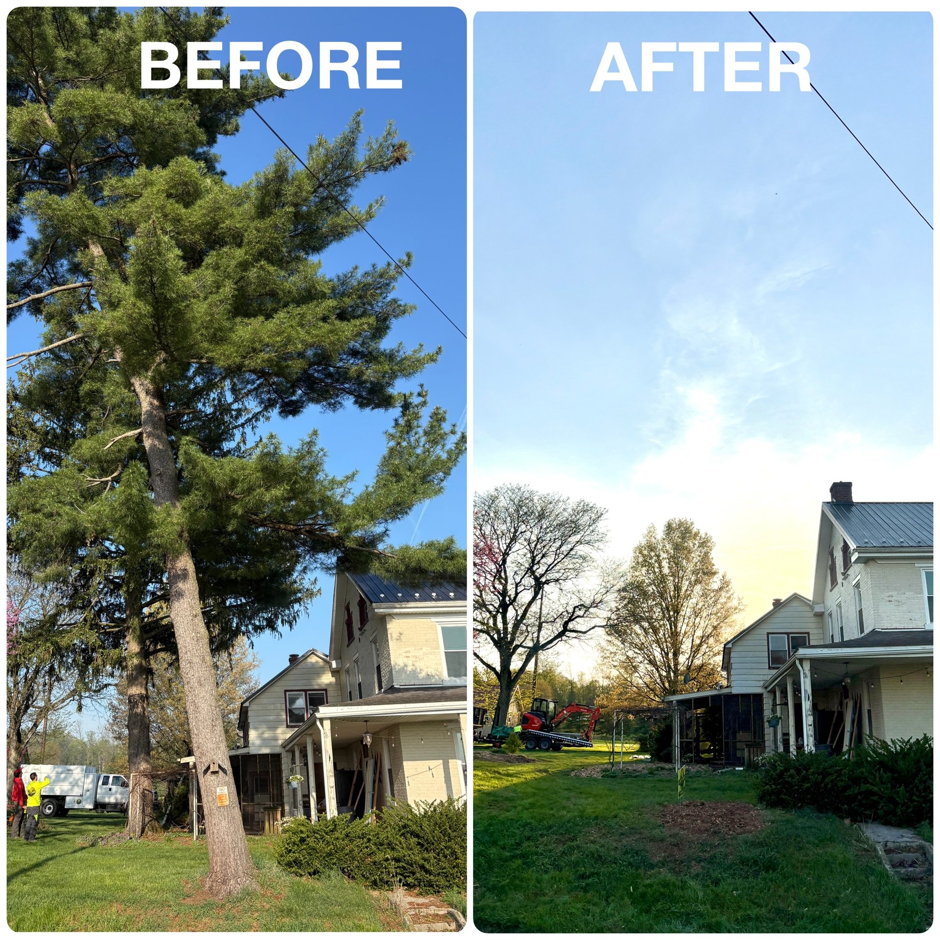 🏡 BEFORE &amp; AFTER 🏠
Huge thank you to our customers for trusting us to safely remove and stump grind these trees that have become too large for the space and proximity to the house. #treeremoval #sustainability #treeservicecompany