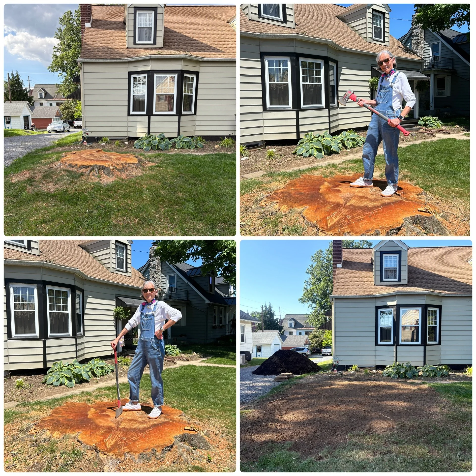 💫We absolutely enjoyed working with our customer (as you can see 🪓) to remove a very large Sycamore tree that had unfortunately outgrown its space so close to the house. Not only were we able to provide her peace of mind, we were able to grind the 
