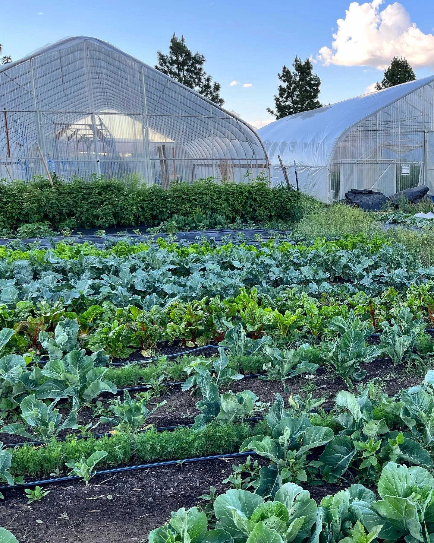 East Bend, Oregon favorites that you should definitely know about: