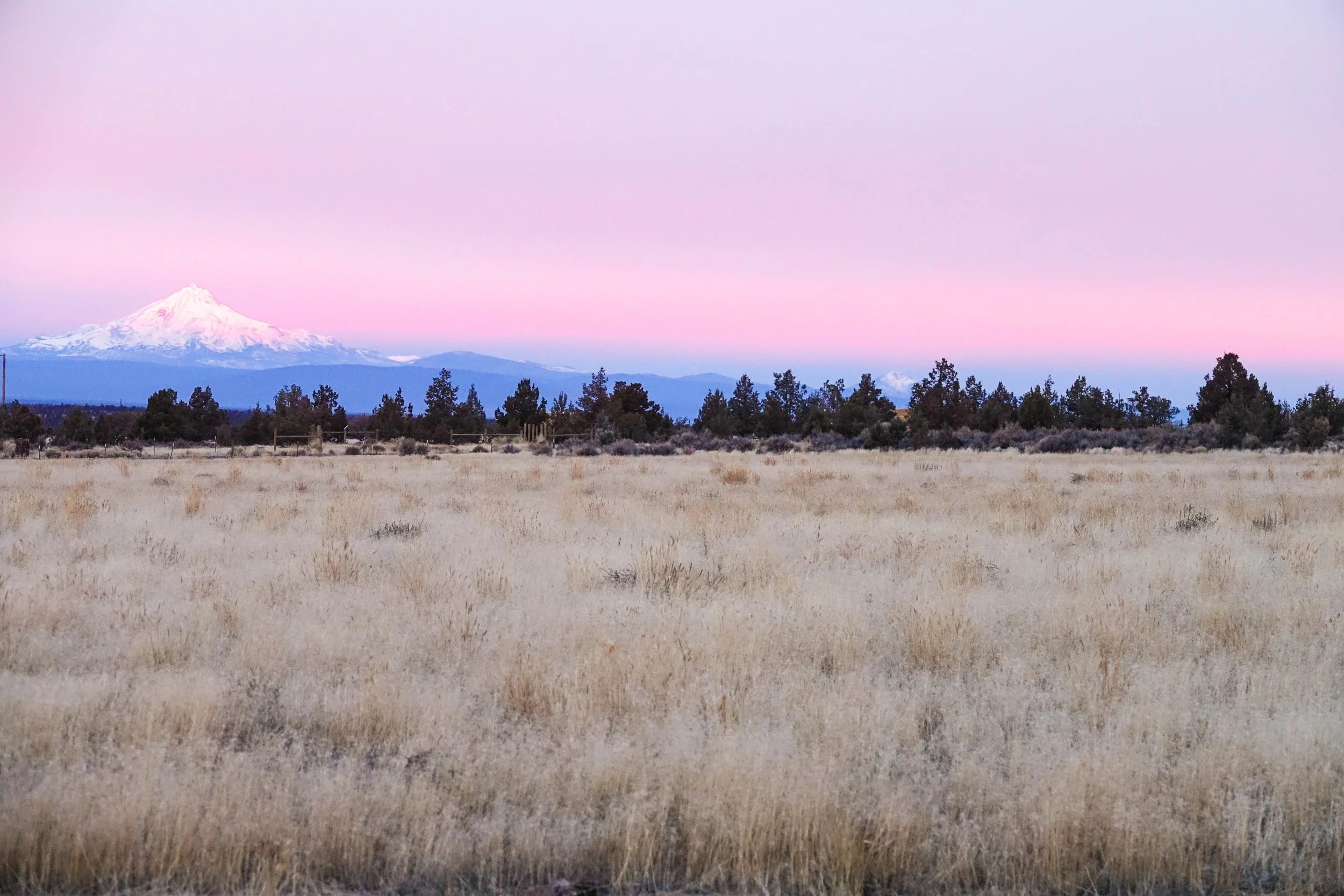 A scenic landscape featuring a snow-capped mountain in the distance, a colorful sky at dusk, and a field of dry grass with scattered trees in the foreground.