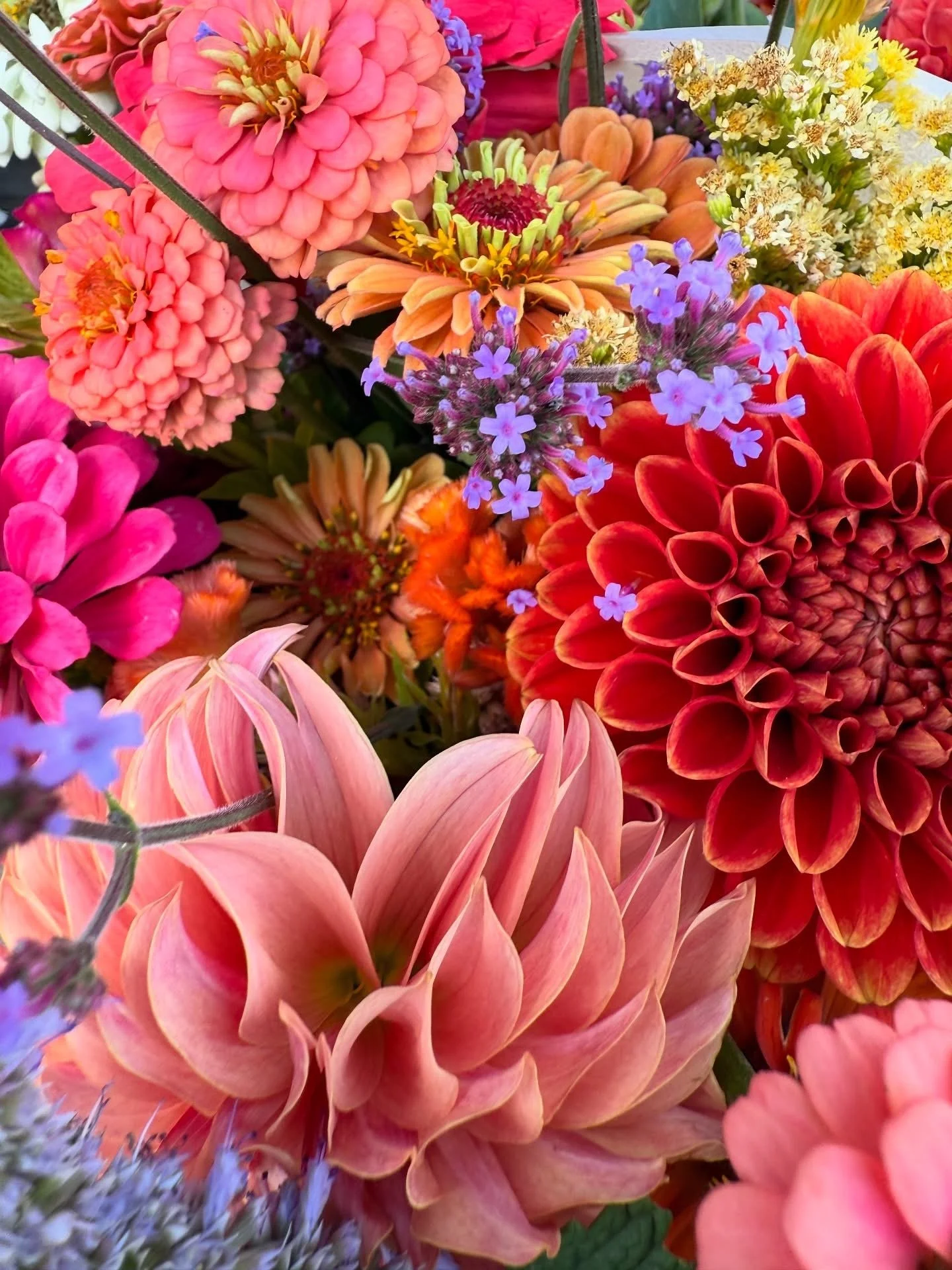 Community Newsletter + Local Farm Collaboration - Bend Seed Co and Fibonacci Farm