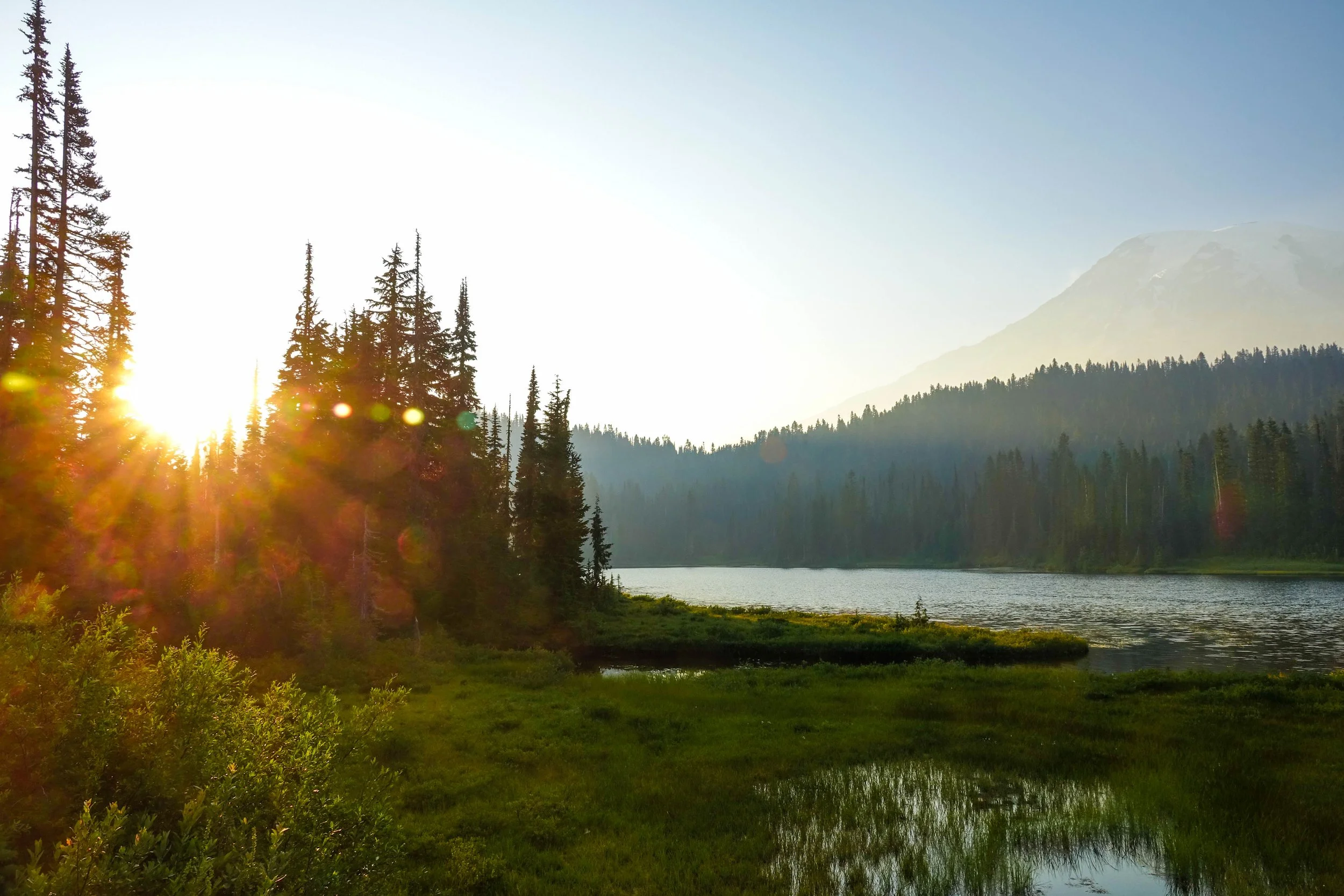 Sunset over a forested lakeside with tall pine trees and mountains in the background.