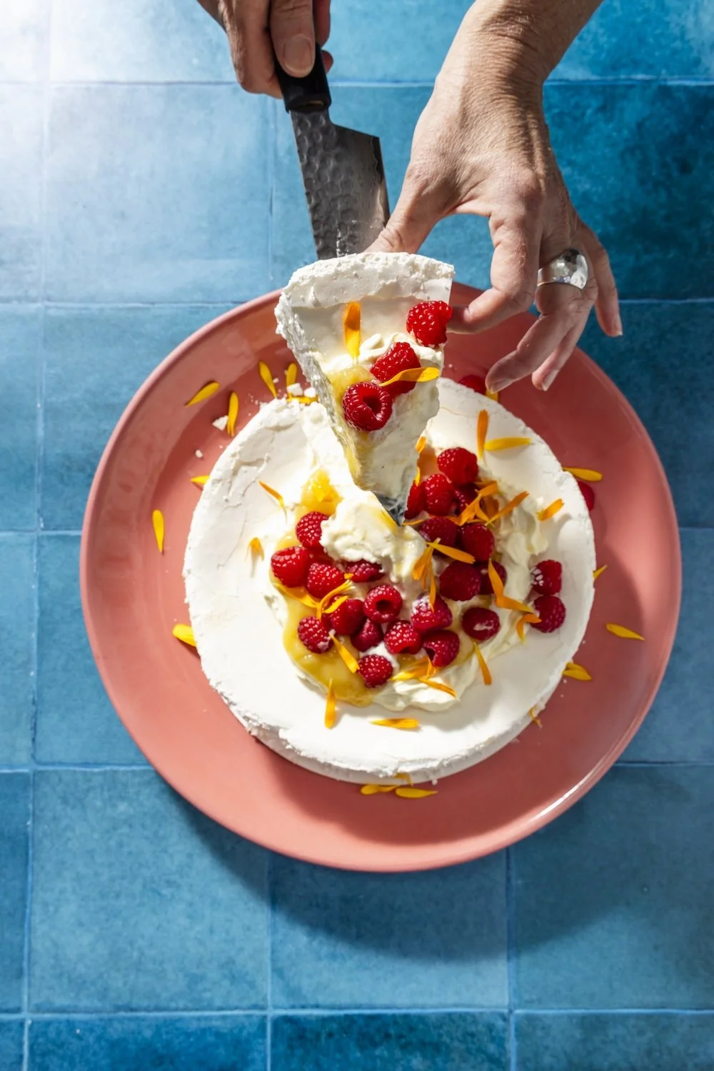 PavLovas