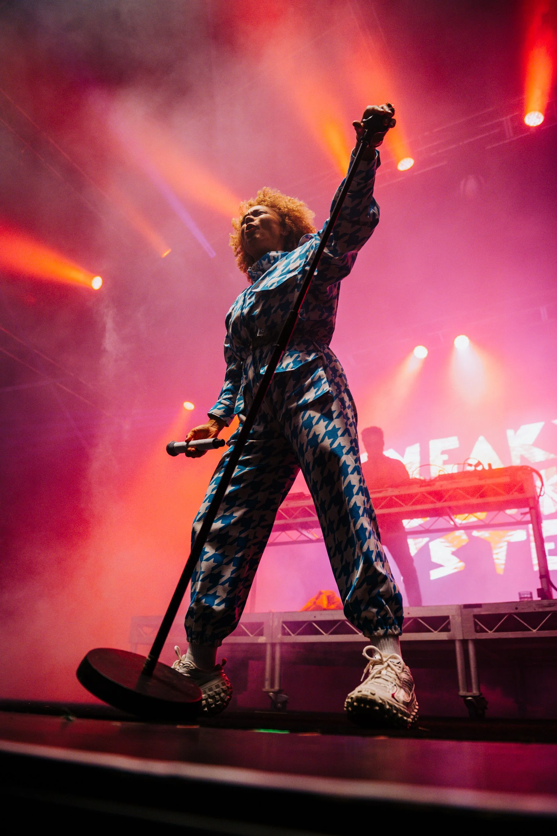 Sneaky Sound System