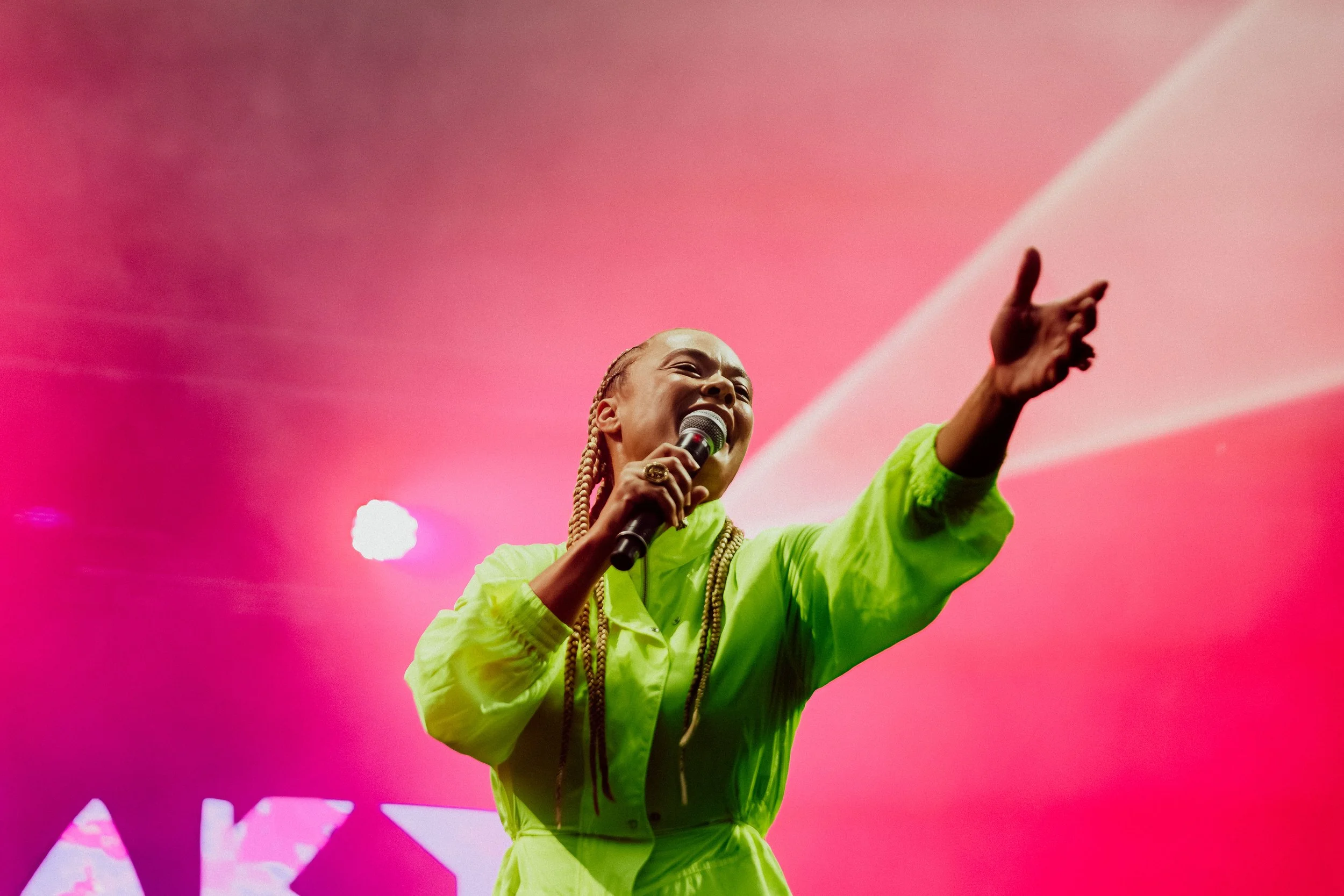 Sneaky Sound System - live - 3 (credit @rubyboland).jpg
