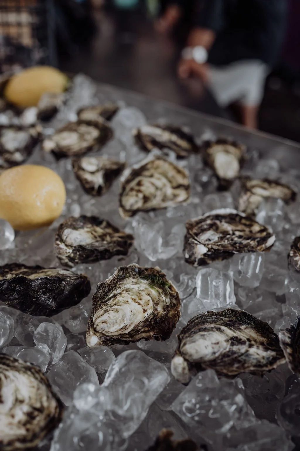 Tasmanian Oyster Co.