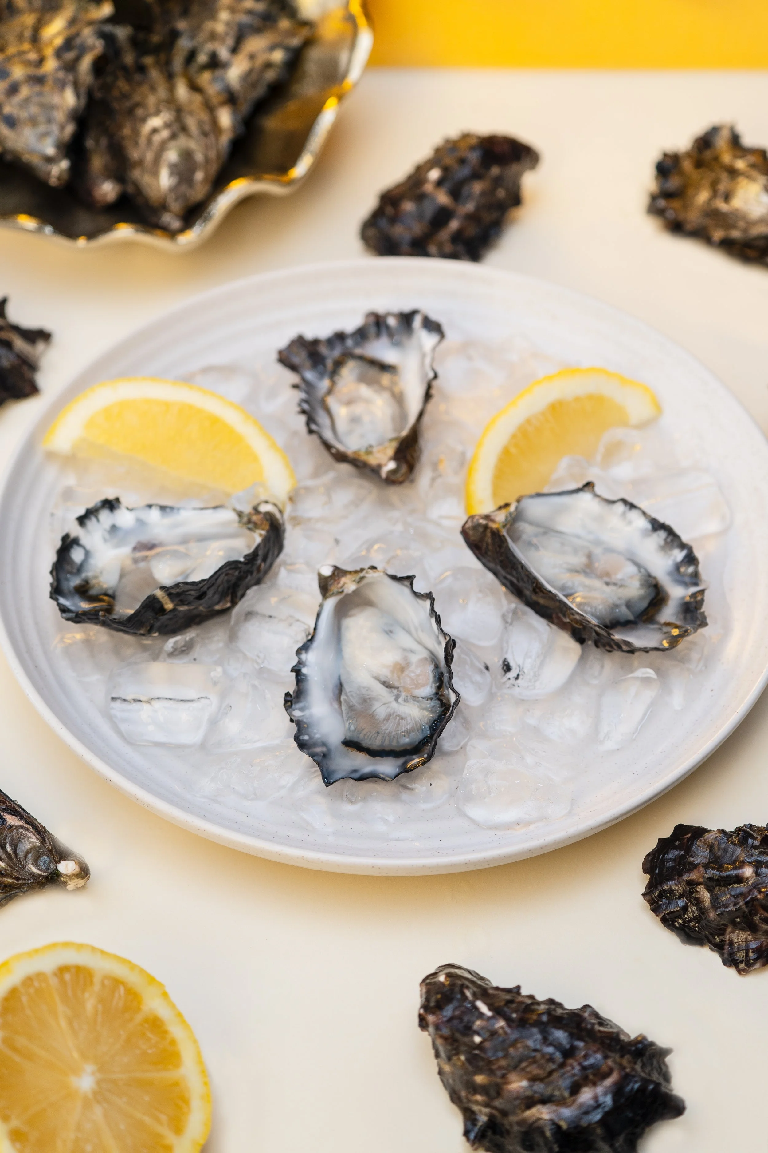 BLUE_HERON_OYSTERS_TOS.jpg