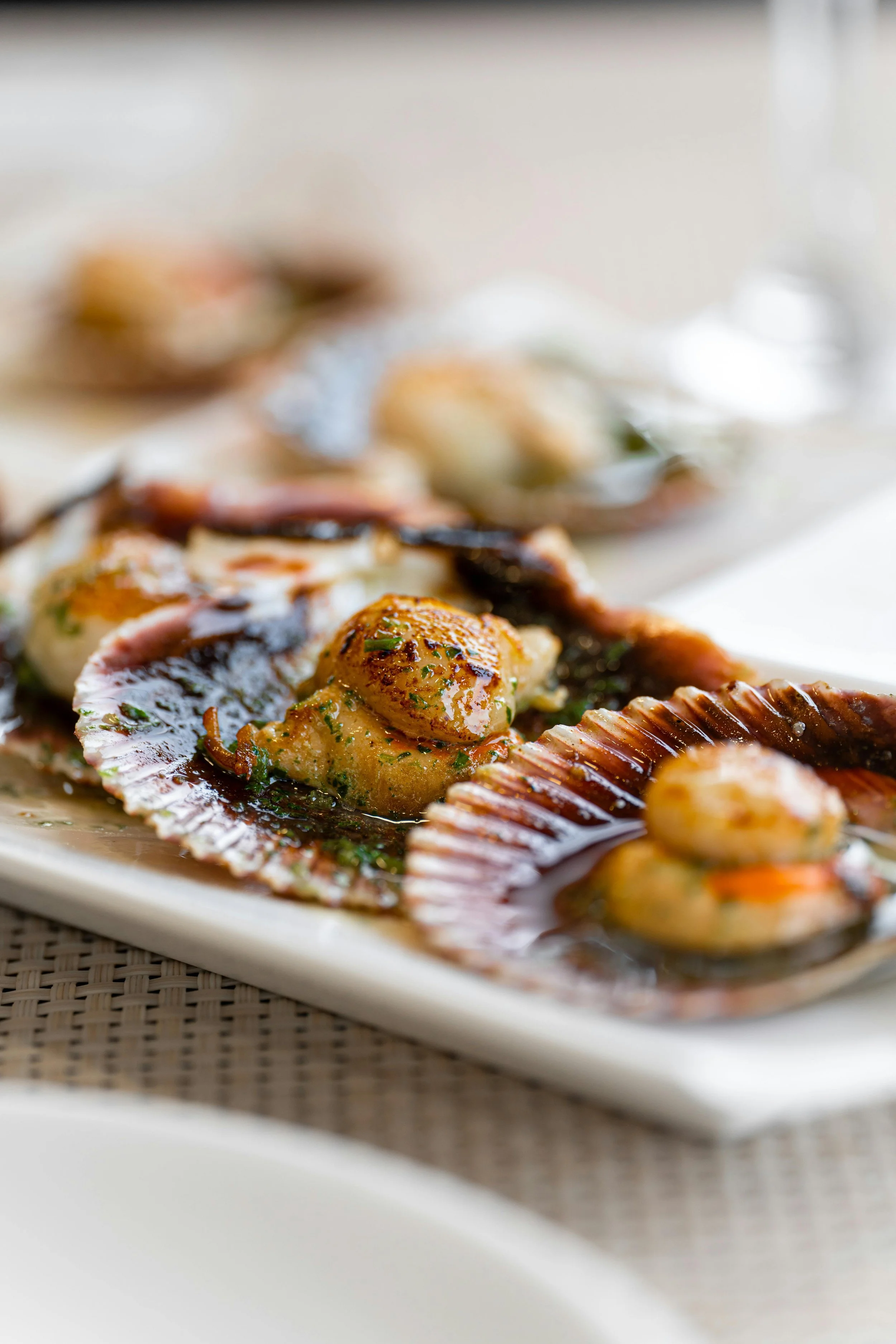 Bass Strait Scallops