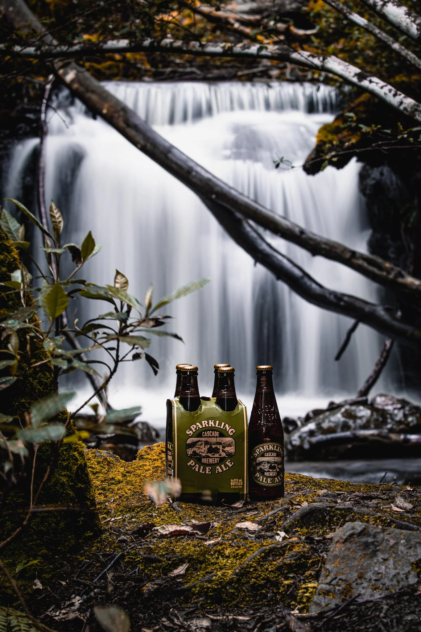 Cascade Brewery