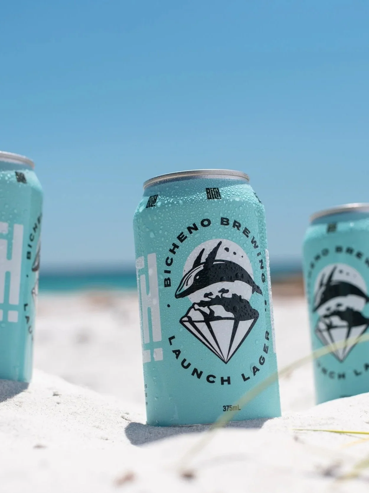 Bicheno Brewing
