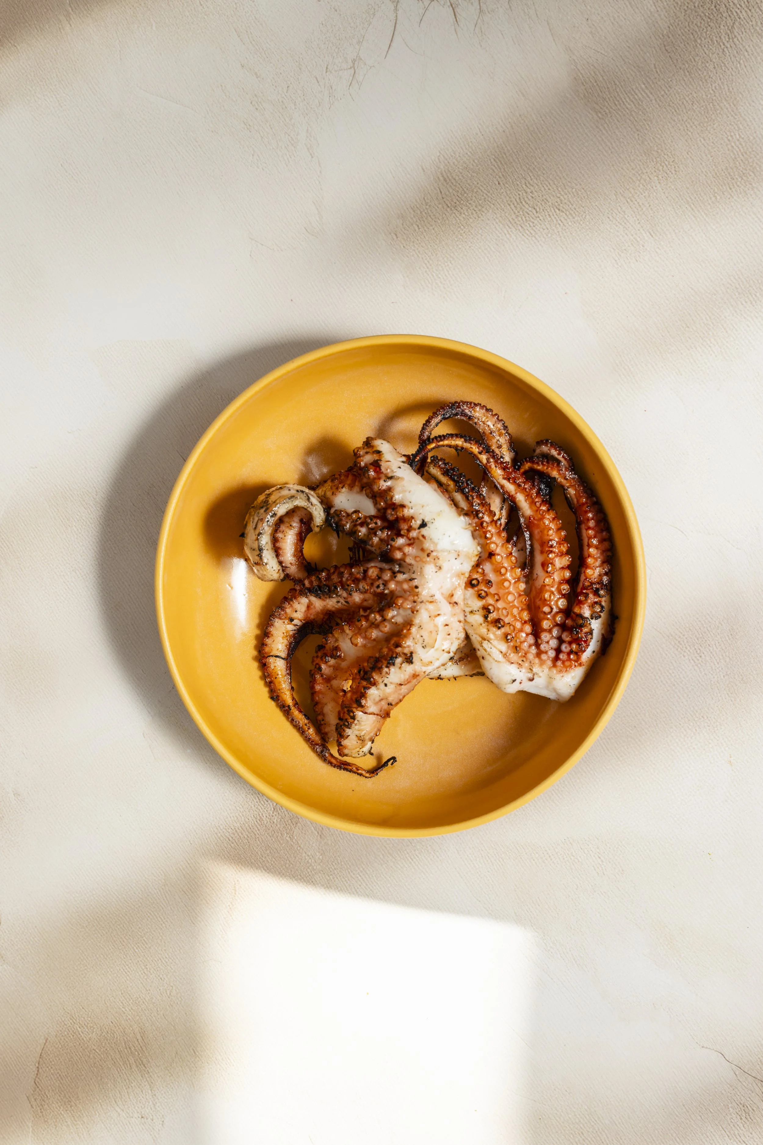Charcoal Octopus
