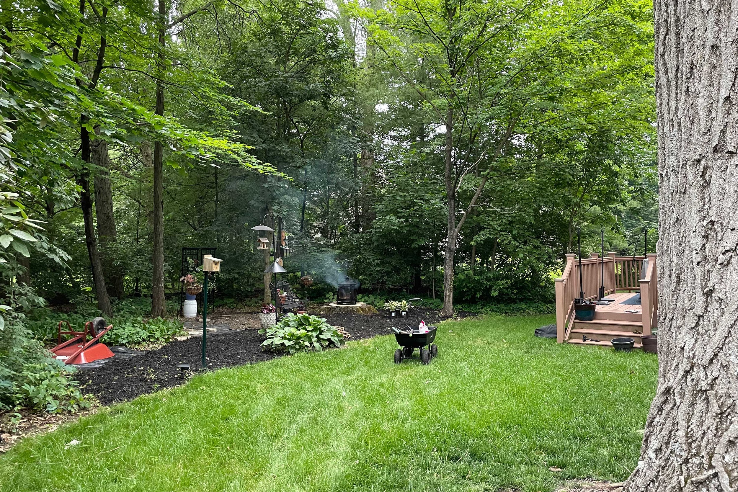 Our back yard