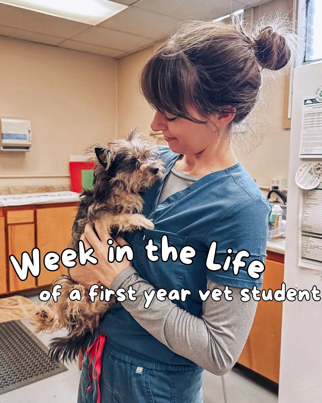 Just a week in the life of a lil old veterinary student at WSU 🥰 it's been so busy, it feels like a whirlwind some days.

Last week had lots of the usual, mixed in with some unusual. For exam.. I went into a dog hoarding trailer with police and caug
