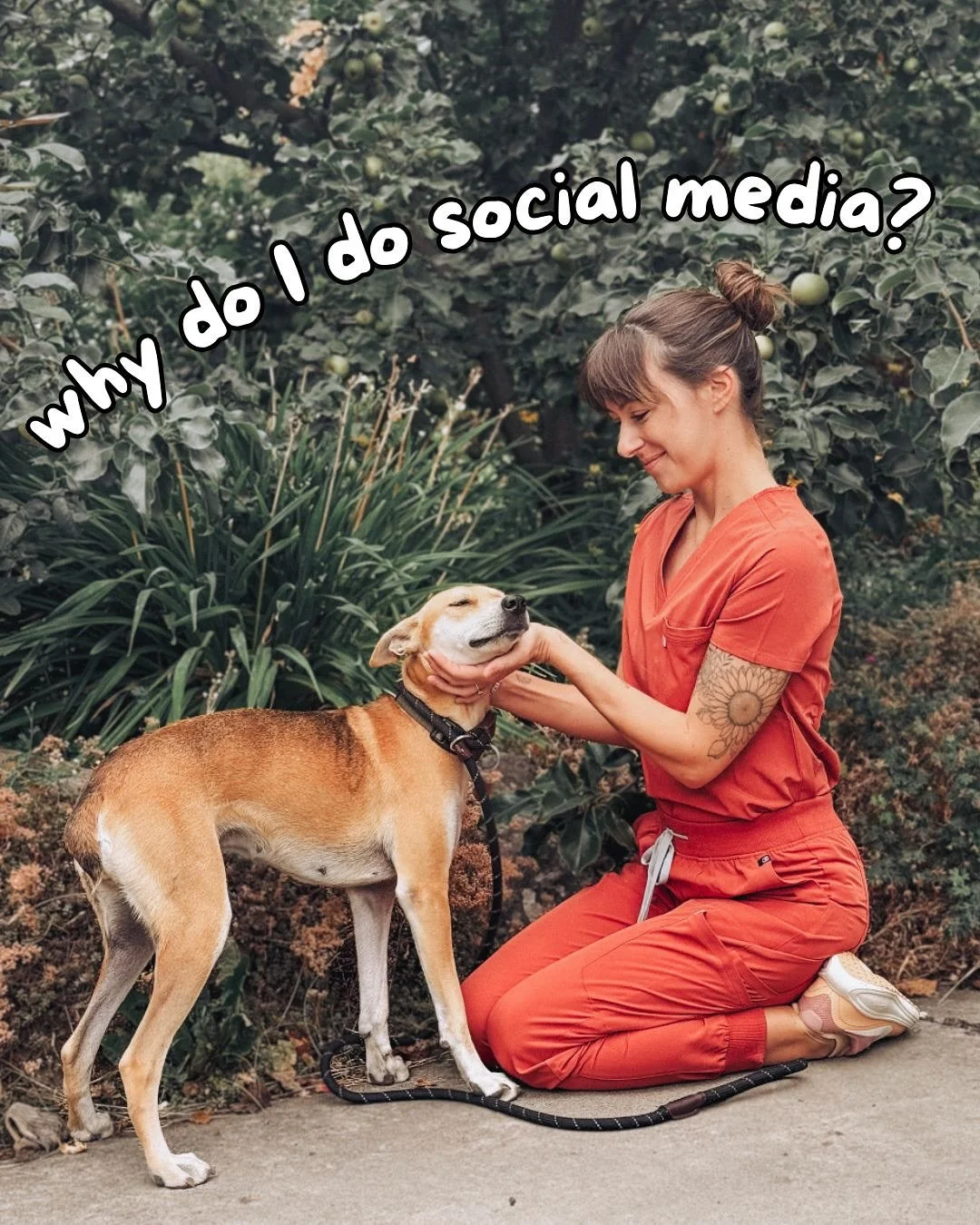 I started this post with just a few ideas. But once I got started, the list kept getting longer! 

I am the person behind a few social media accounts. 
This one.
@boonieflightproject 
@saipanhumanesociety 
@nationalprevetclub 

I think that&rsquo;s i