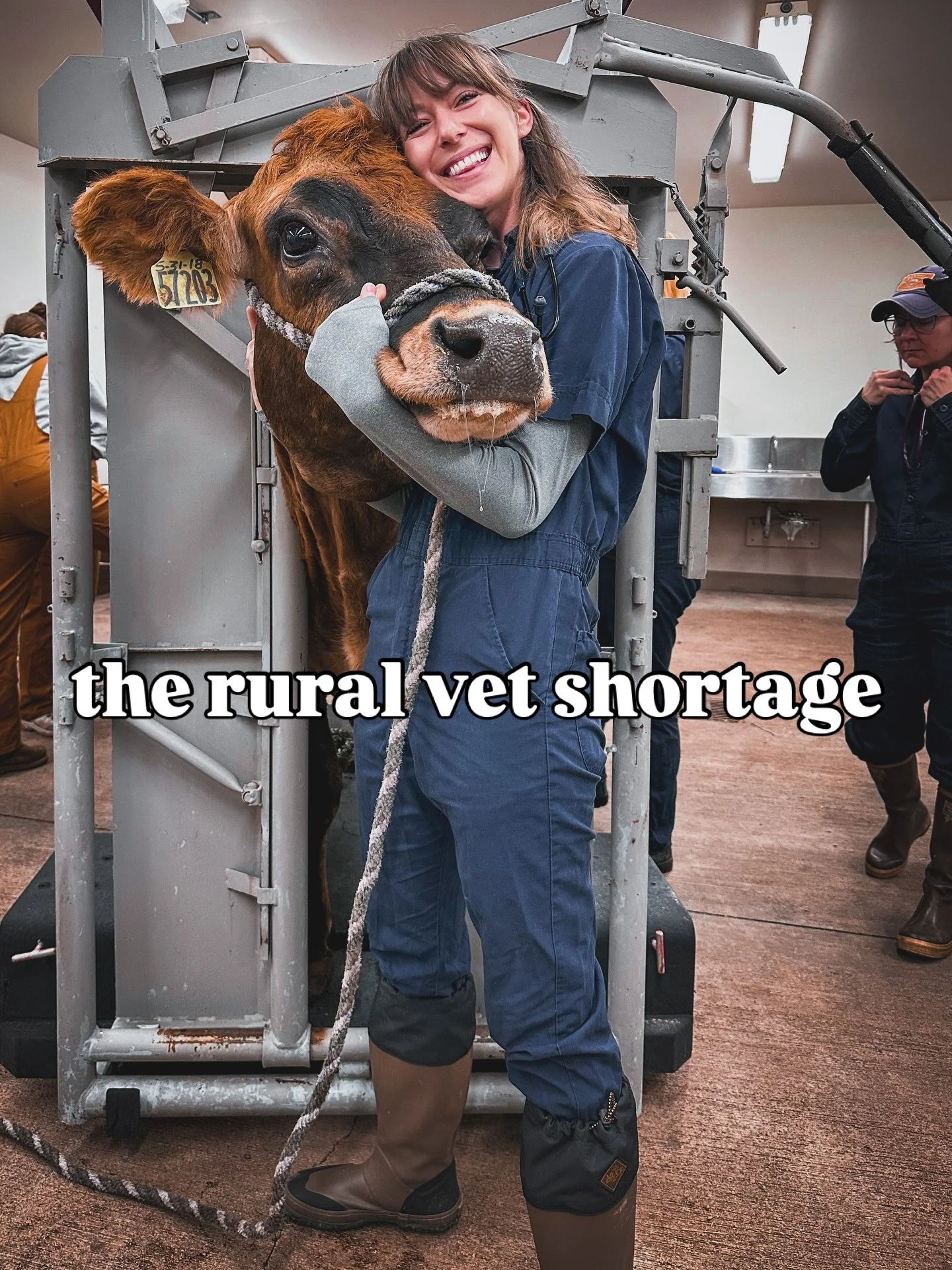 Recently , I&rsquo;ve realized.. wow - not many people want to work with food animals or in rural settings.

Then I spoke at a rural vet shortage this week hosted by USDA. It was so interesting to hear how widespread the issue is, and creative ways t