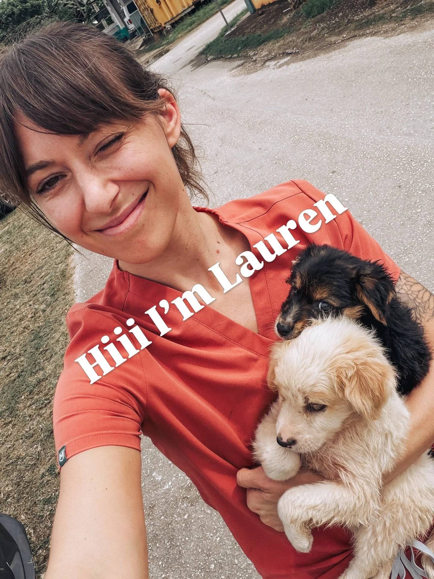 My account has grown a looot since I started vet school so allow me to reintroduce myself 🥰👋

I&rsquo;m LAUREN! A 36yo veterinary student, mom, wife, person with a bajillion jobs and responsibilities. I just realized making this post that I have wo