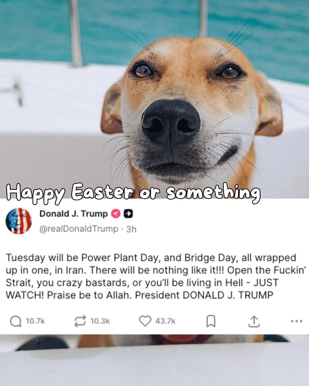 Happy Easter or something like that..

I was never one to follow the news closely. Over the last year, that changed.. and I&rsquo;m just baffled every day. 

How is this even real?

Comedy news isn&rsquo;t even funny anymore because our daily headlin