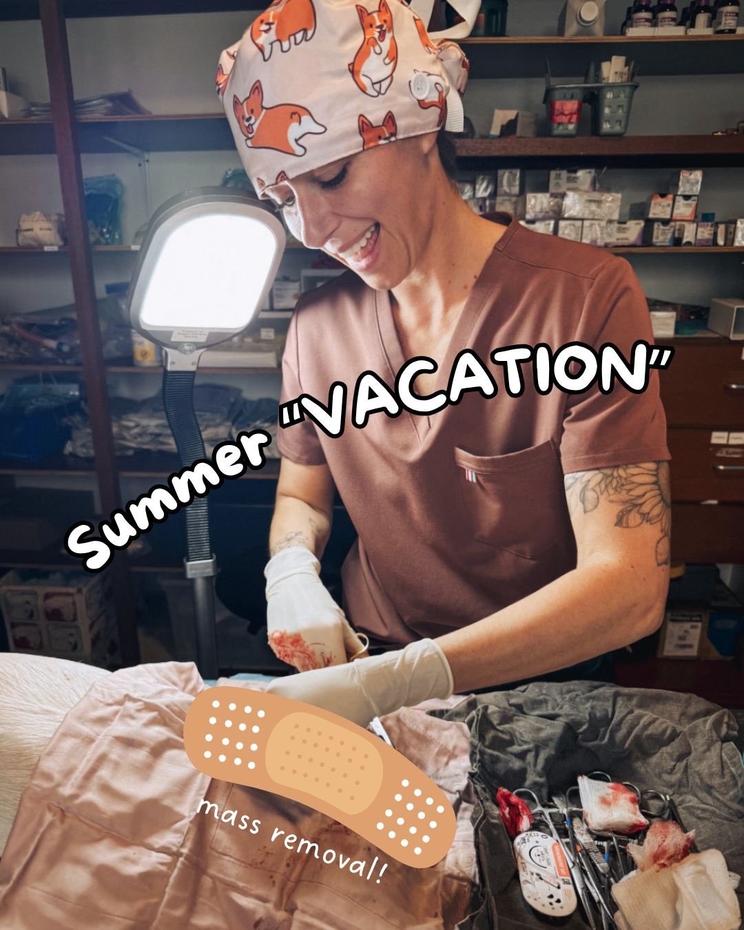 I&rsquo;m starting to wonder if vet school is the actual vacation.
Don&rsquo;t get me wrong. It&rsquo;s HARD. But.. it&rsquo;s the only thing I&rsquo;m focusing on. Well, that and helping out back home virtually which I do quite a bit 🤣 being here p