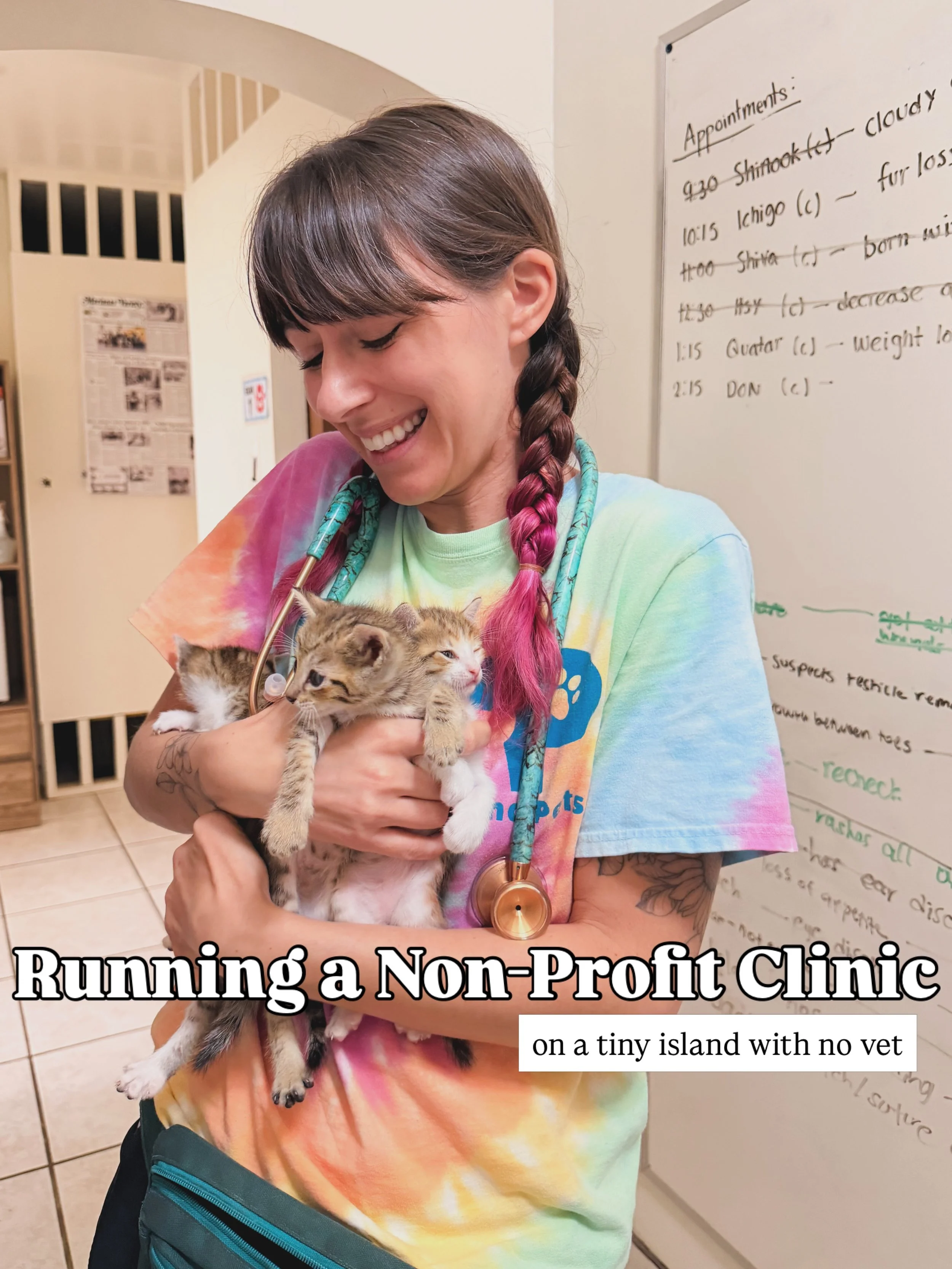 Running a nonprofit clinic on a tiny island with no veterinarian is not for the weak 😅😵&zwj;💫😮&zwj;💨

SWIPE to learn more and share your ideas below 🥹❤️

Want to HELP? ✨ The best way is to save, repost to stories, &amp; send this post to friend