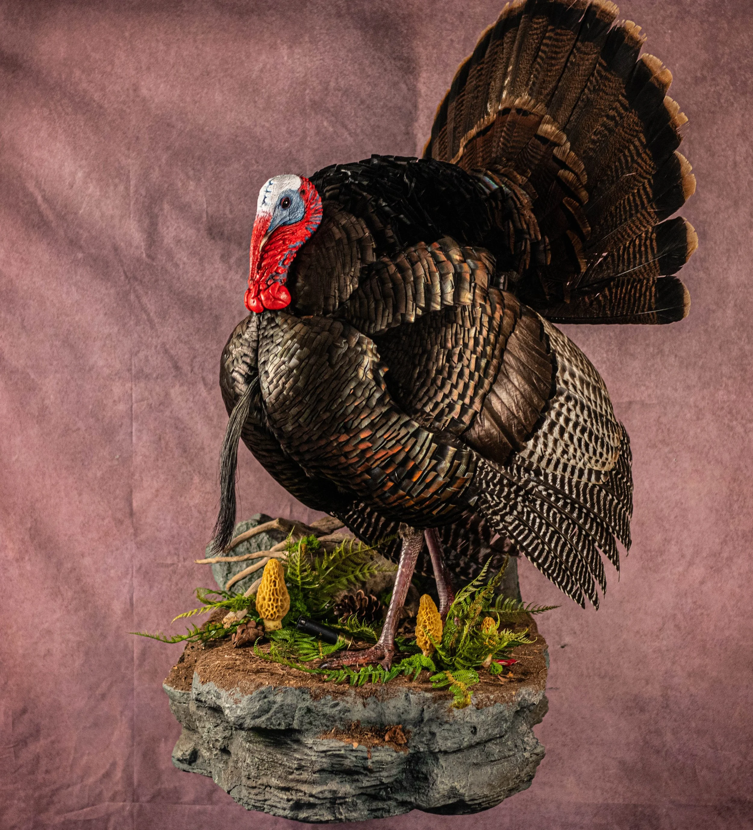Wild Turkey Flying Mount
