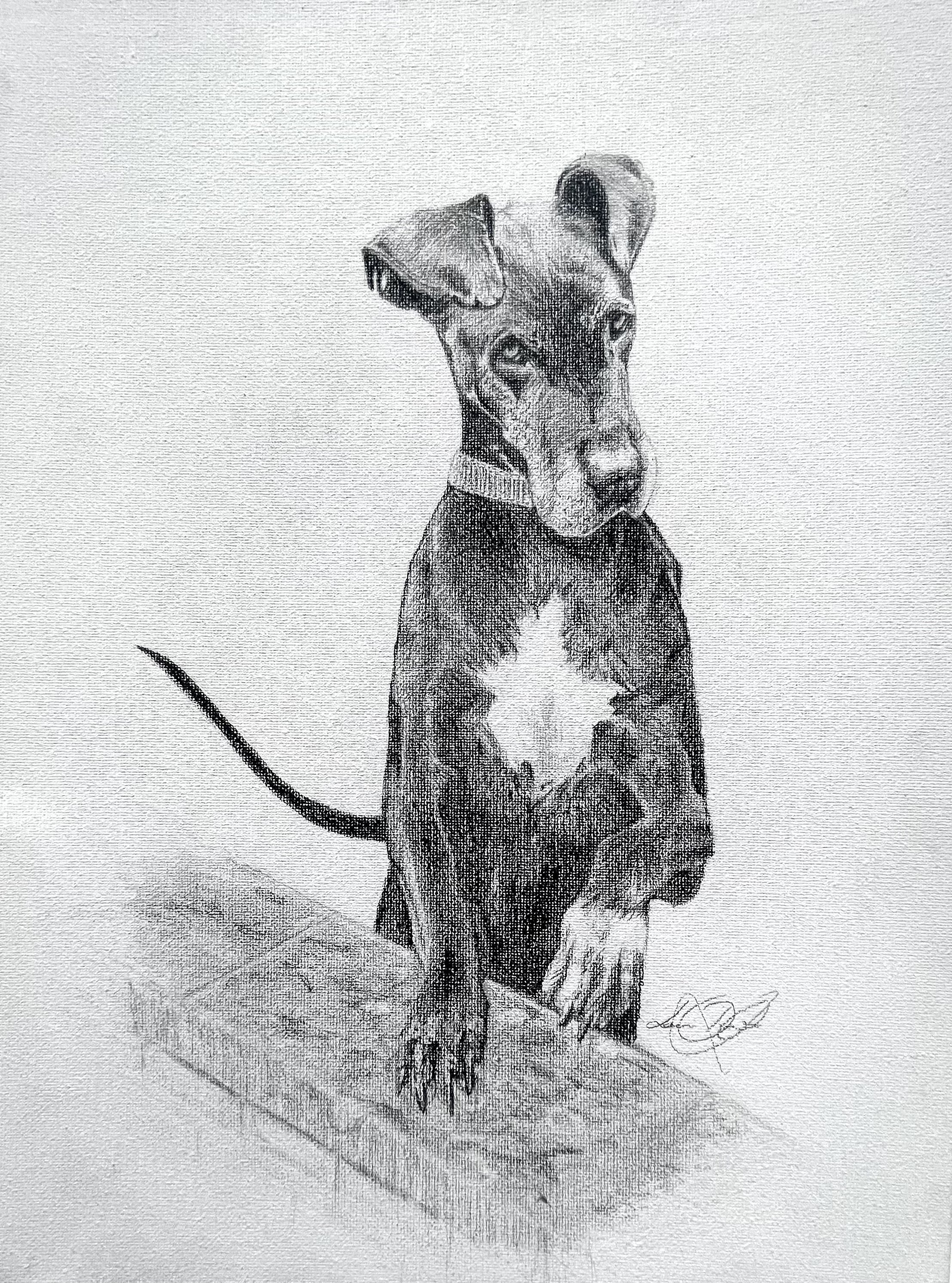 A detailed pencil sketch of a sitting dog with a collar, resting its front paws on a raised surface, looking attentively to the side.