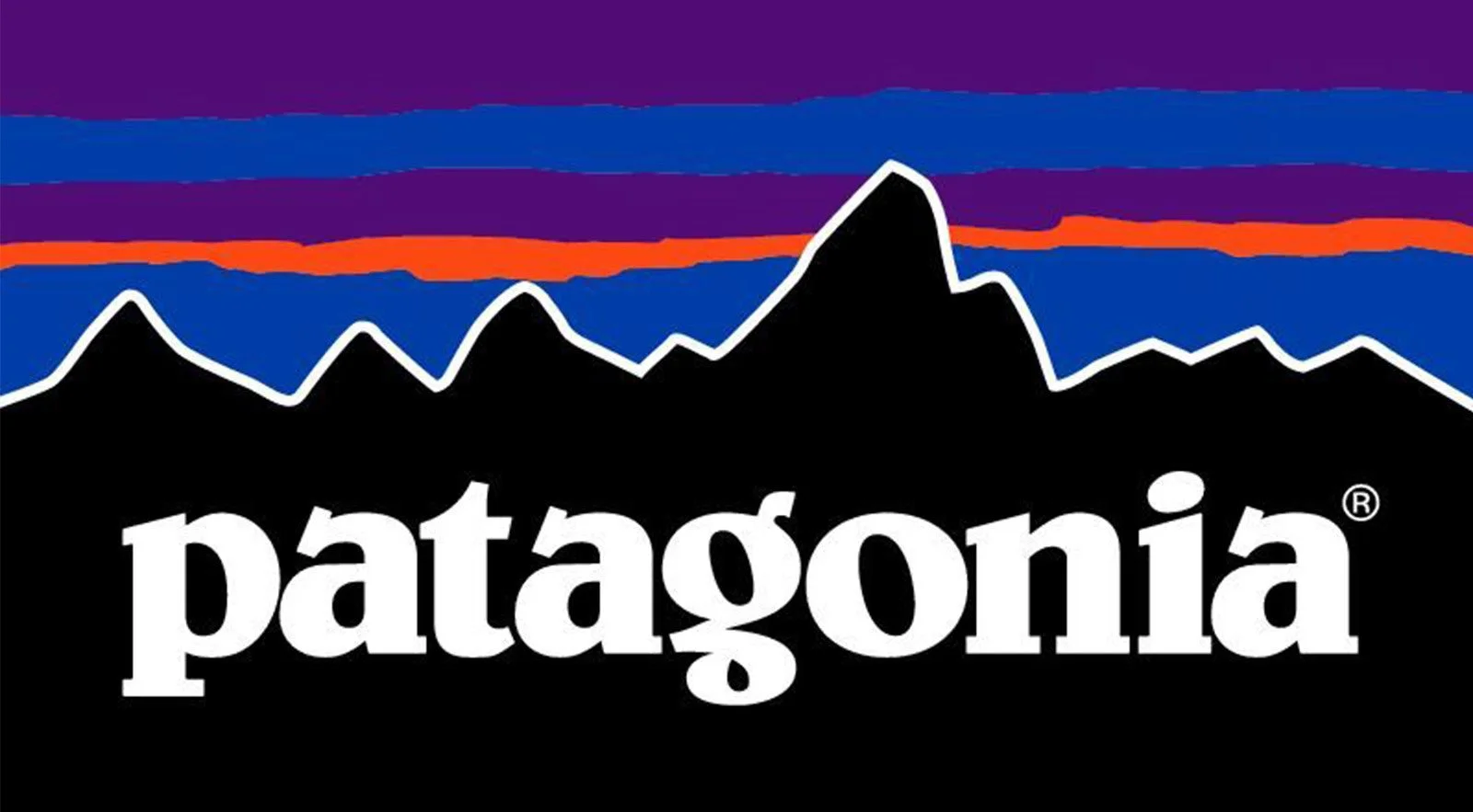 Patagonia logo with mountain silhouette and colorful stripes.