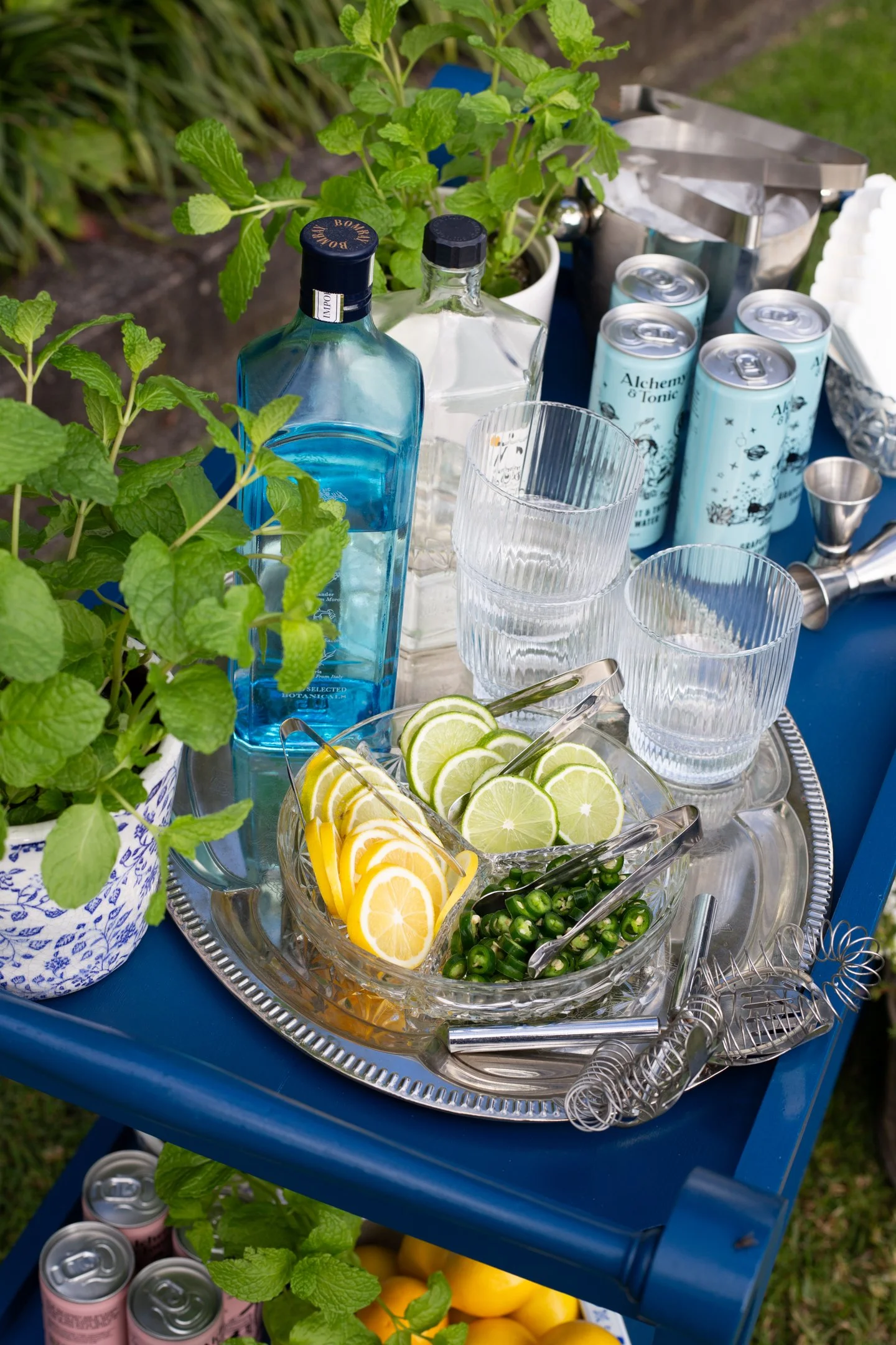 Fancy Neighbour Auckland Blue Gin/Cocktail Bar trolley for hire