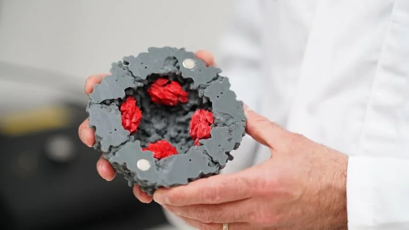 Hands hold a grey 3D-printed model of the iron storage protein, Ferritin, with red iron stored inside.
