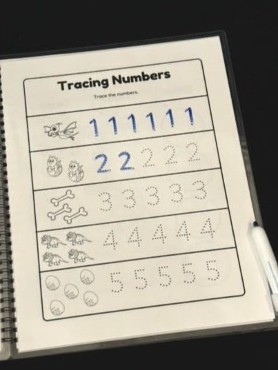 Dino+Tracing+and+Matching+Activity+Book+-+Interior+1.jpg
