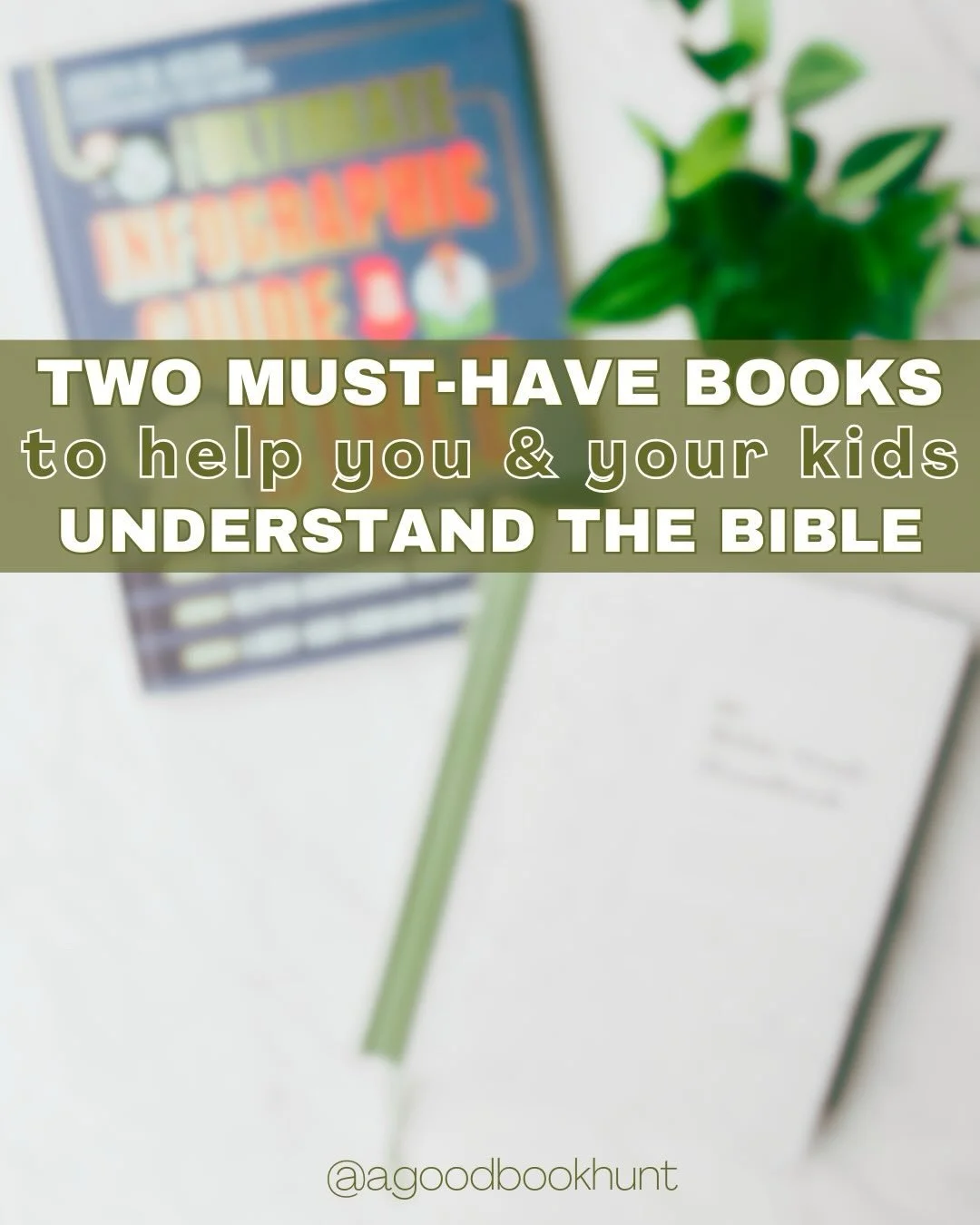 Two must-have books to help you and your kids understand the Bible 📖🤍

Something I am very passionate about (besides sharing good books with anyone who will listen) is sharing how digging deep into Bible reading has changed my life. Yes, I&rsquo;ve