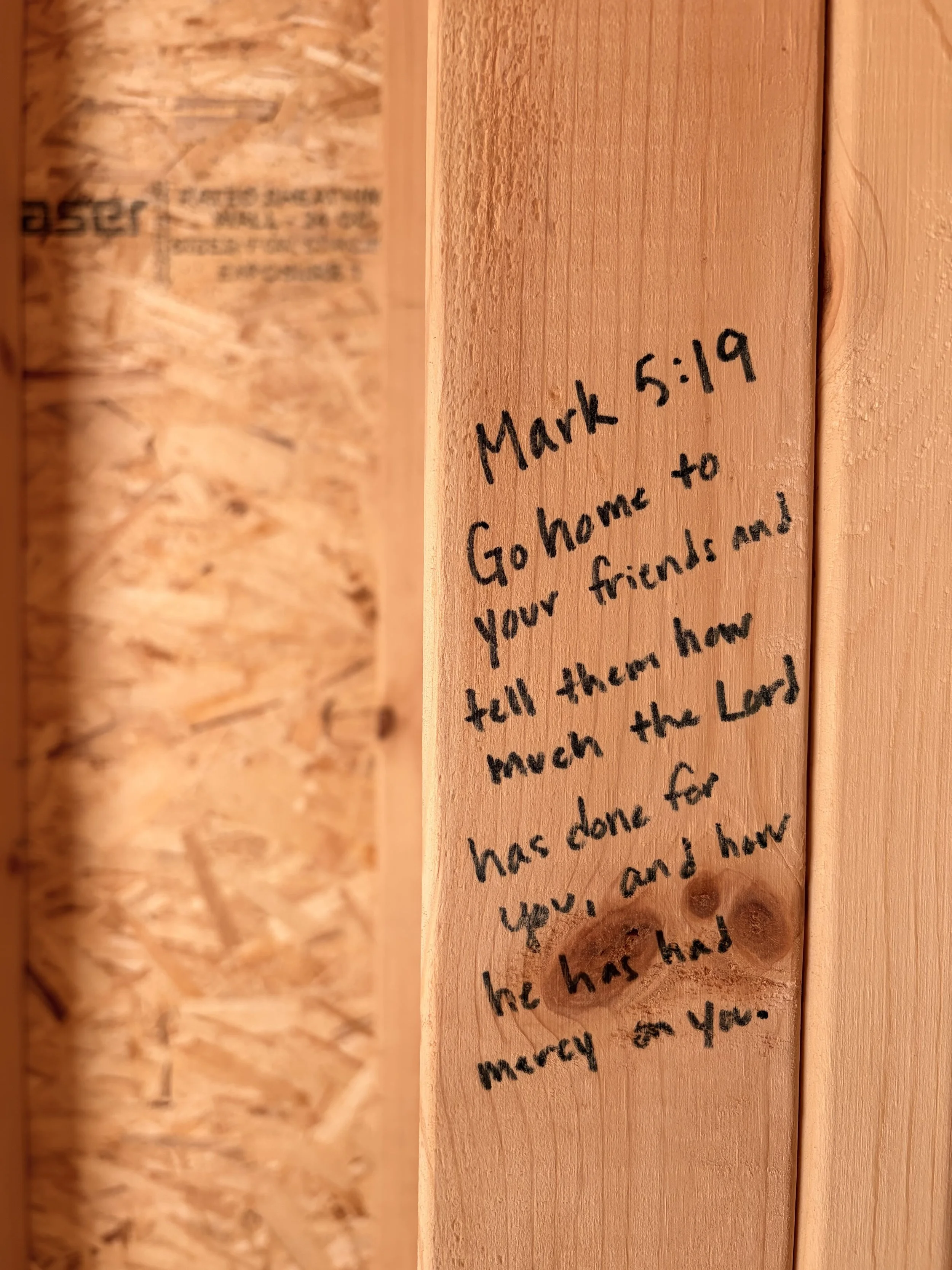 Mark-5-19-Bible-Verse-Home.jpg