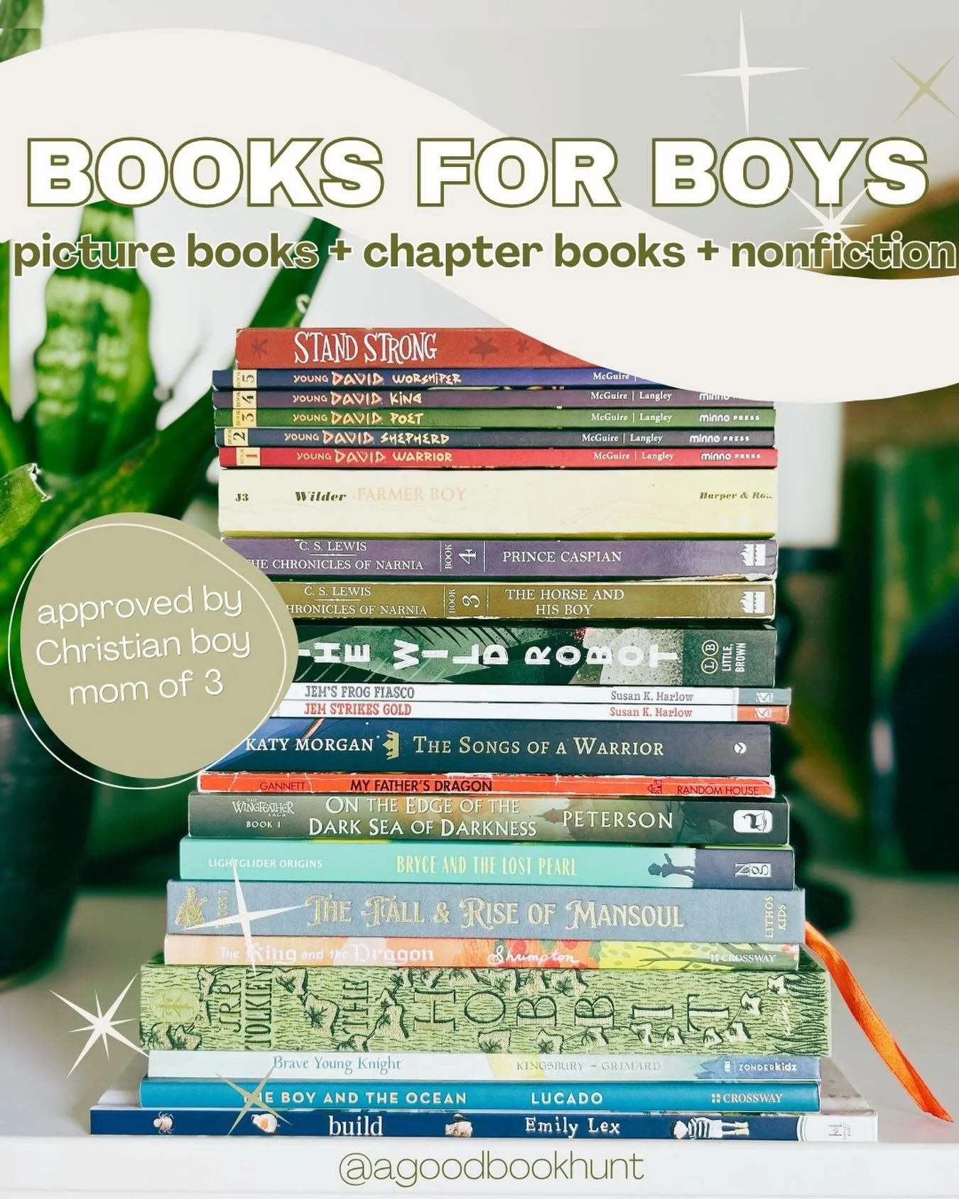 Comment &ldquo;BOYS&rdquo; for my list of 40+ approved titles for boys🩵

As a mom of 3 boys, these are stories we genuinely love in our home &mdash; from little boys through middle graders. Adventure, courage, truth, and so many great conversations 