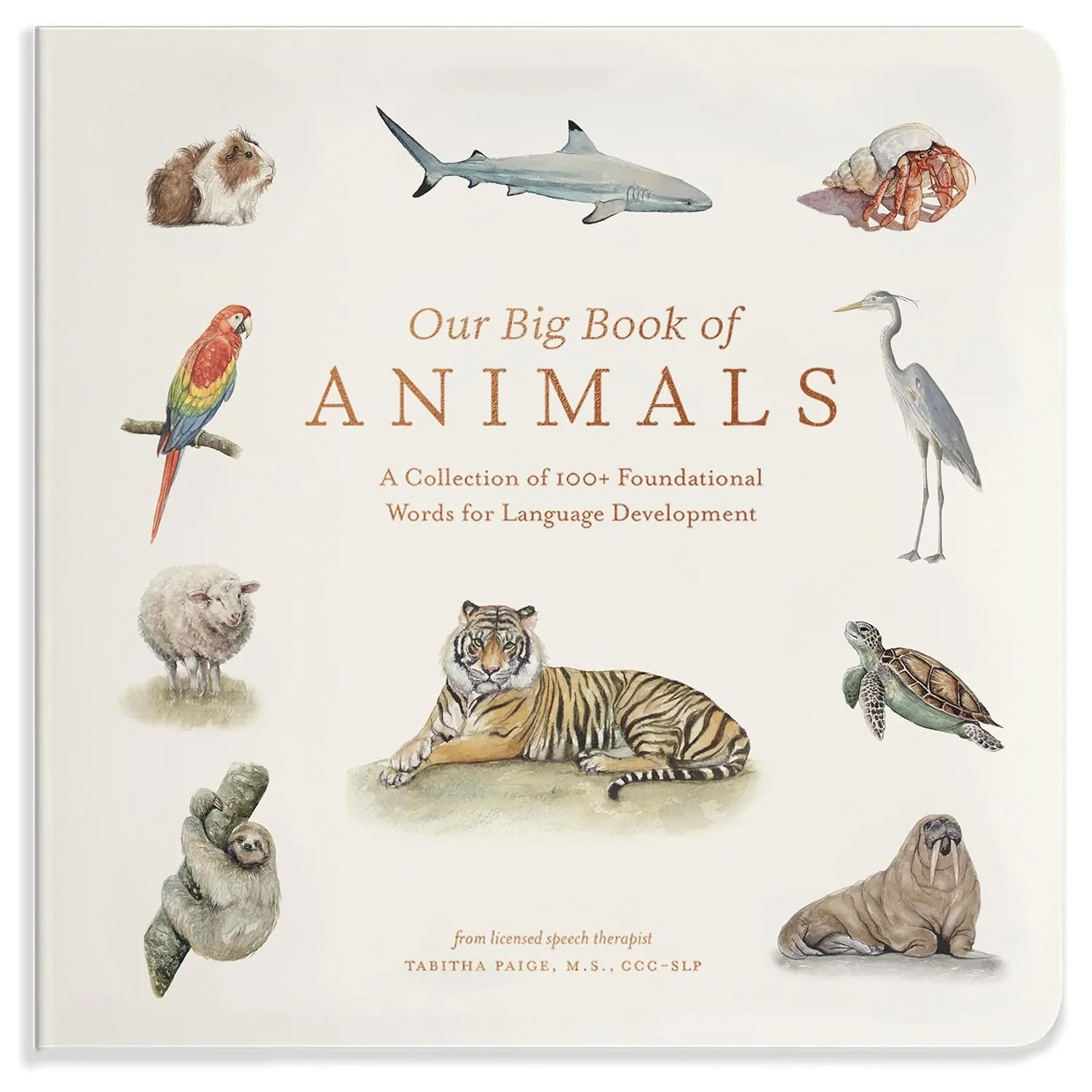 our-big-book-of-animals.jpg