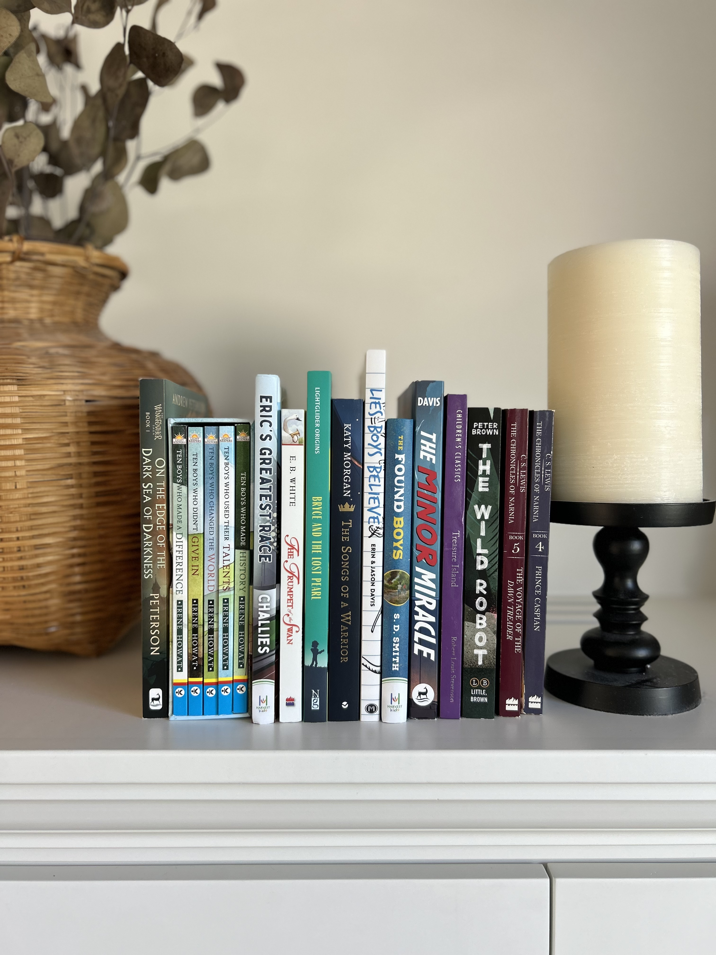 Shelf of chapter books curated for boys, including adventure stories and wholesome reads suitable for Christian families.