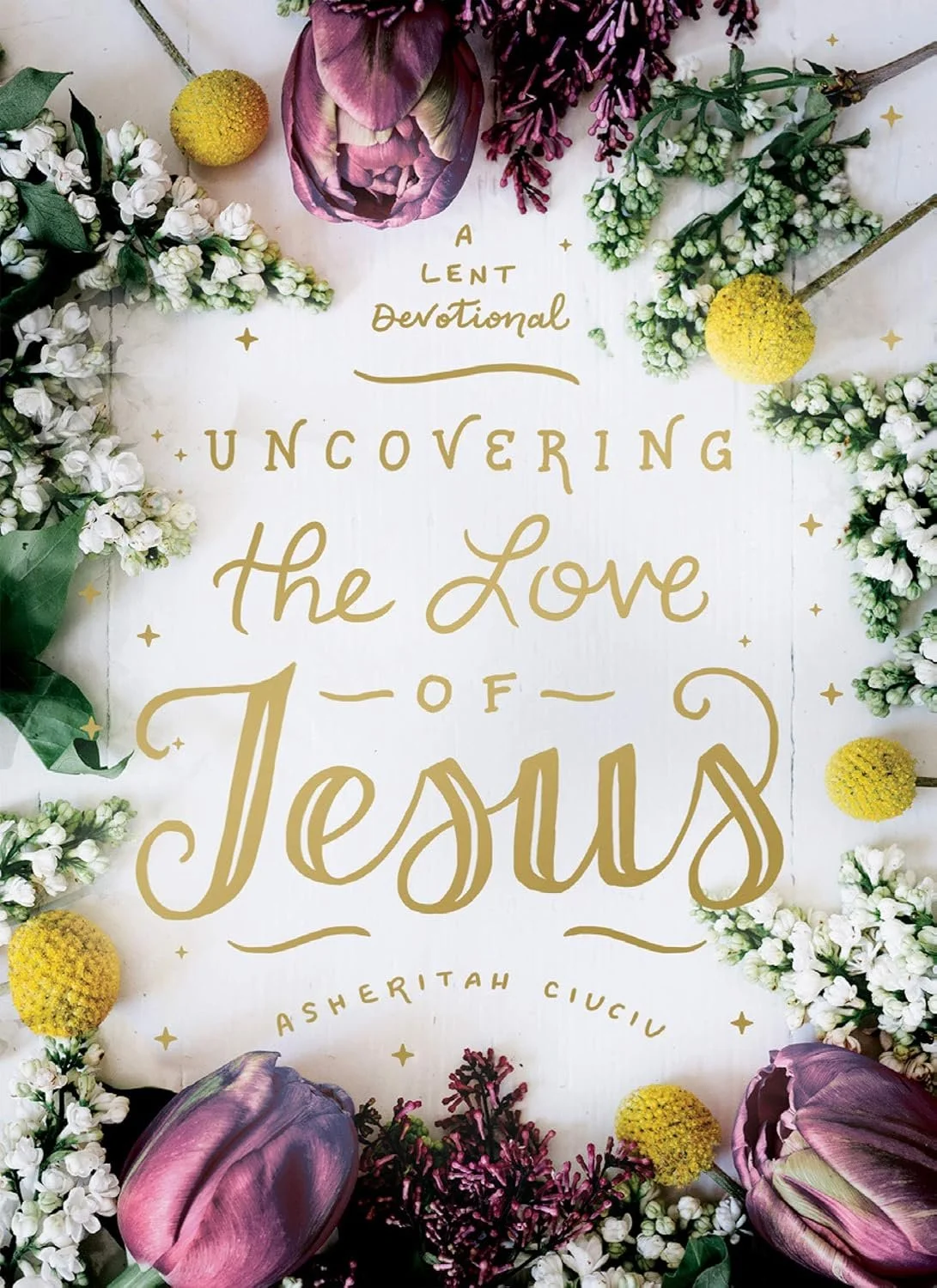 Adult Lent resource book cover: Uncovering the Love of Jesus