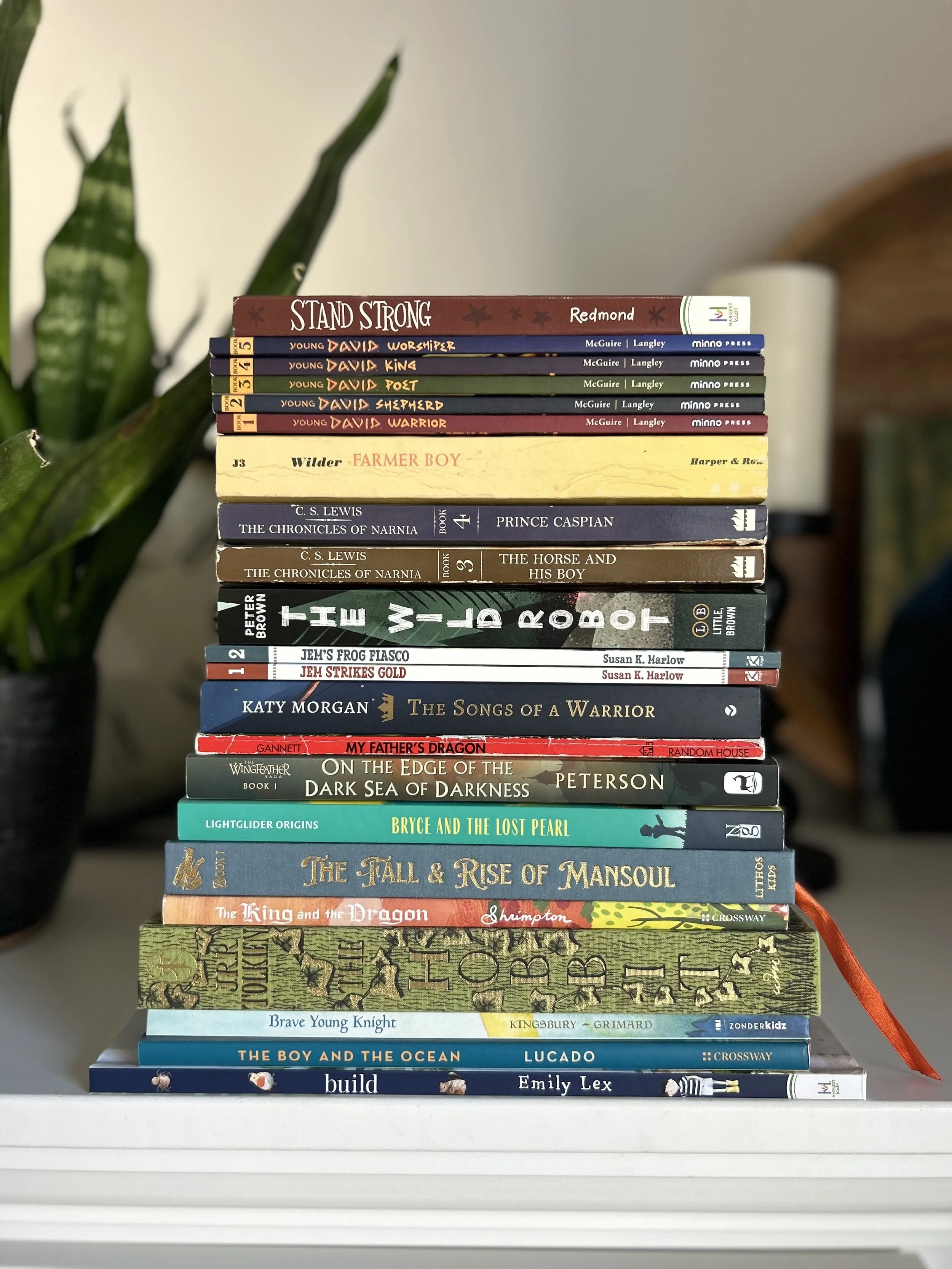 Stack of picture books, chapter books, and nonfiction books curated for boys, featuring adventure, heroes, and faith-filled themes.