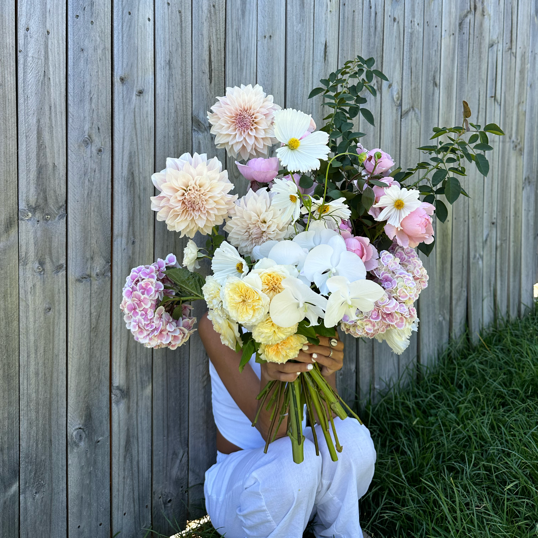 IMG_6747.png