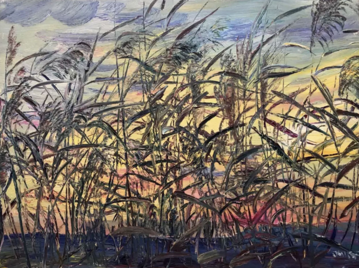 Reed Marsh