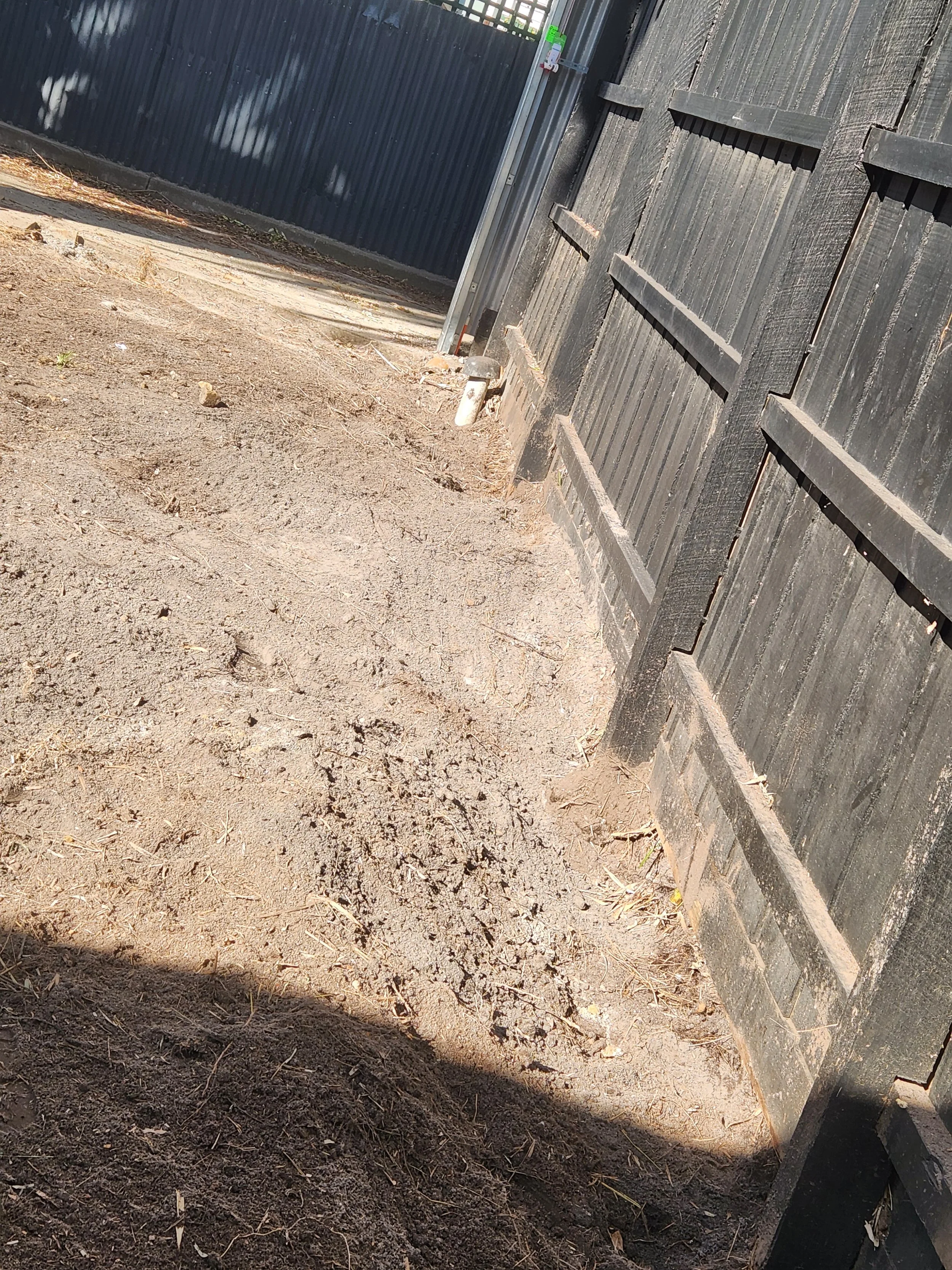 Invasive Running Bamboo Removal